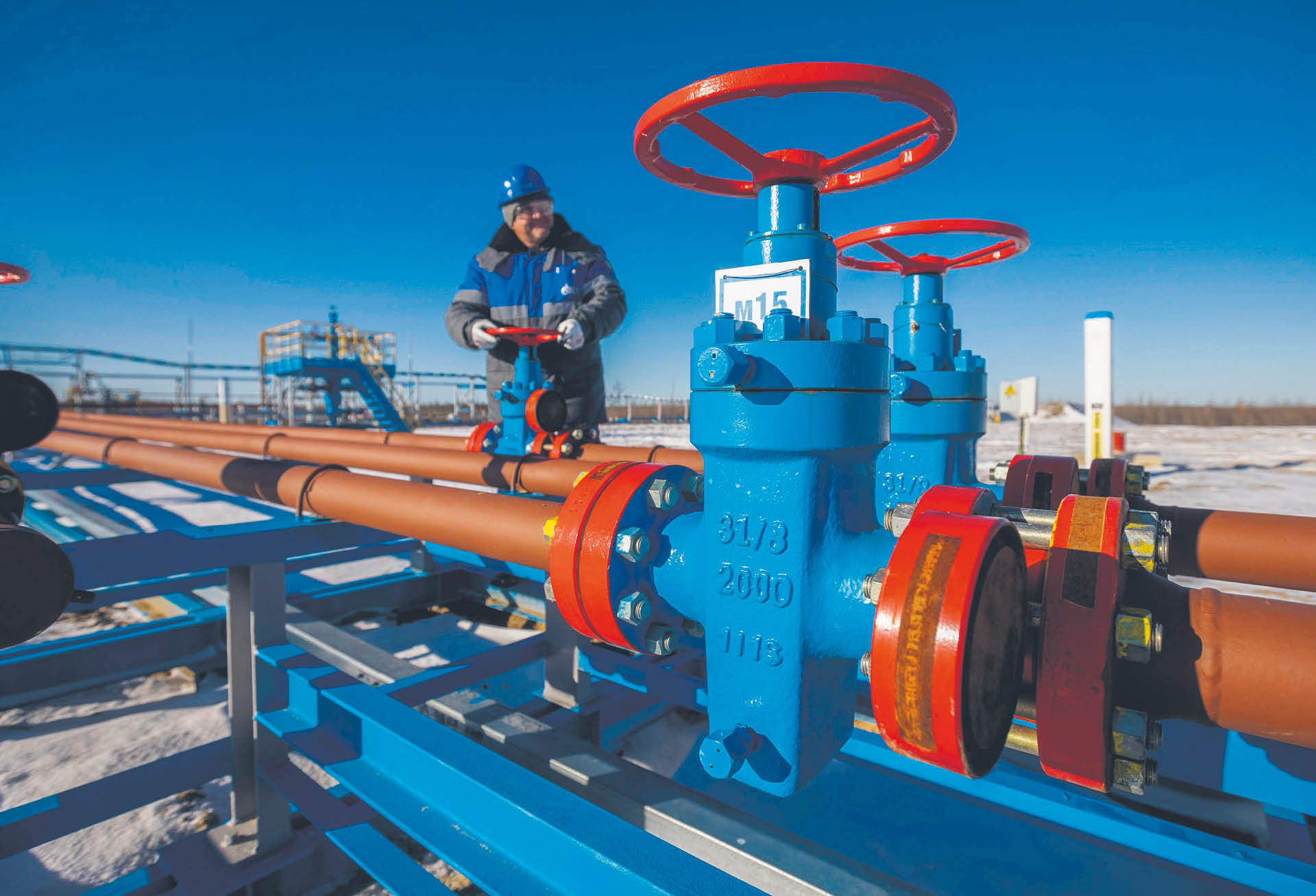 779293_big_photo_image_photo_image