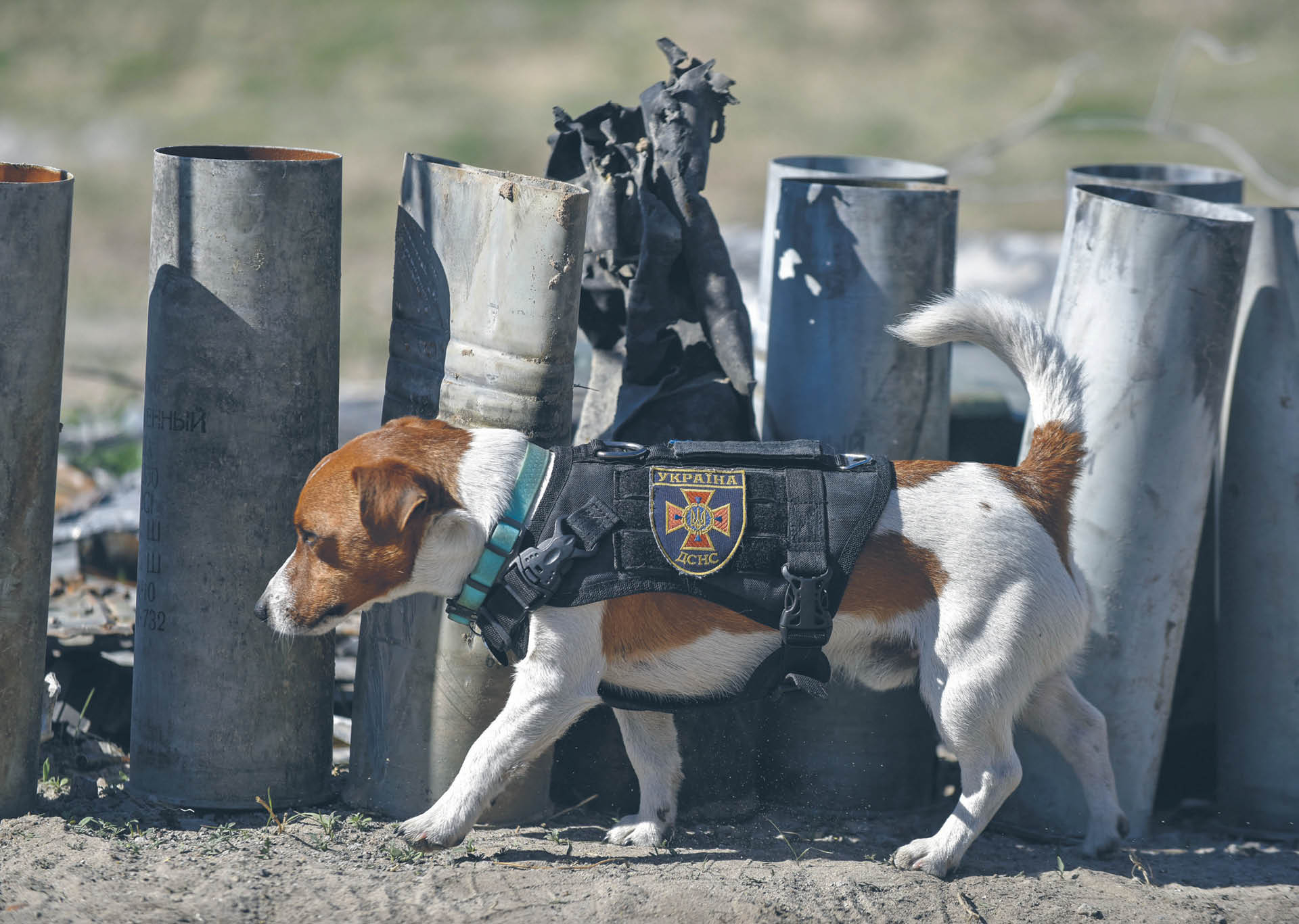 781486_big_photo_image_photo_image