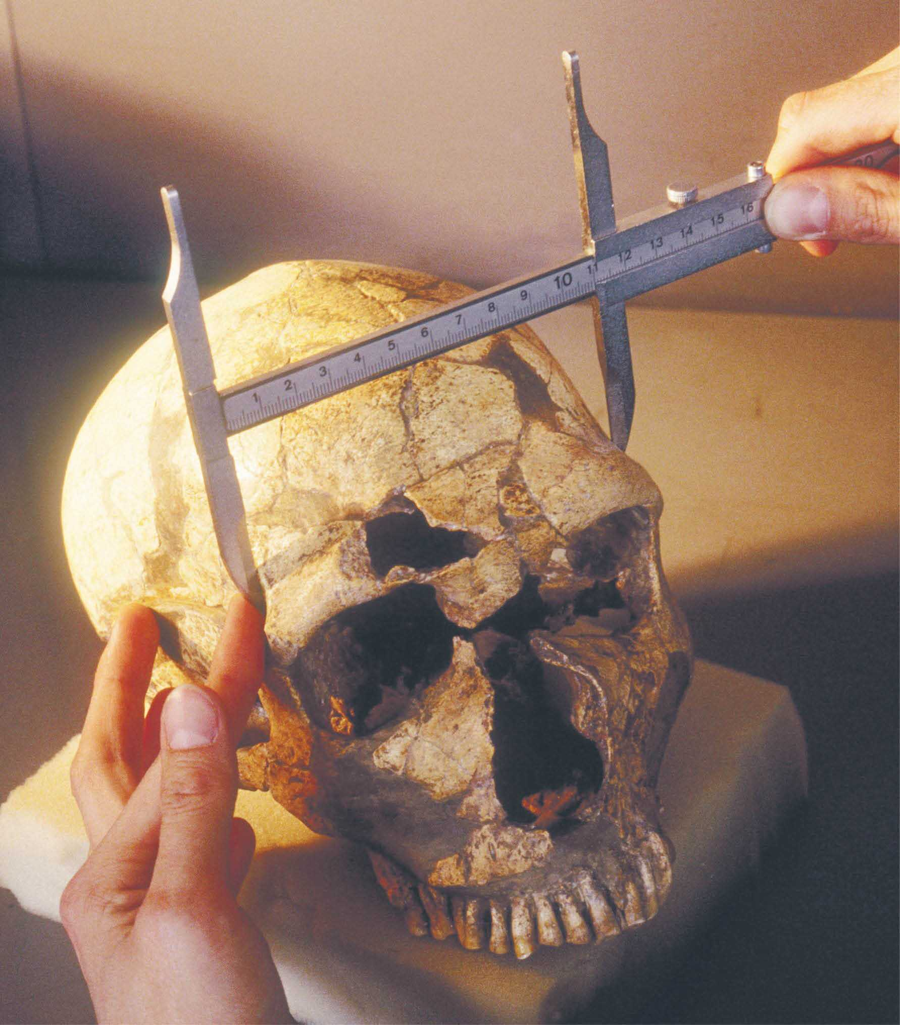 783430_big_photo_image_photo_image