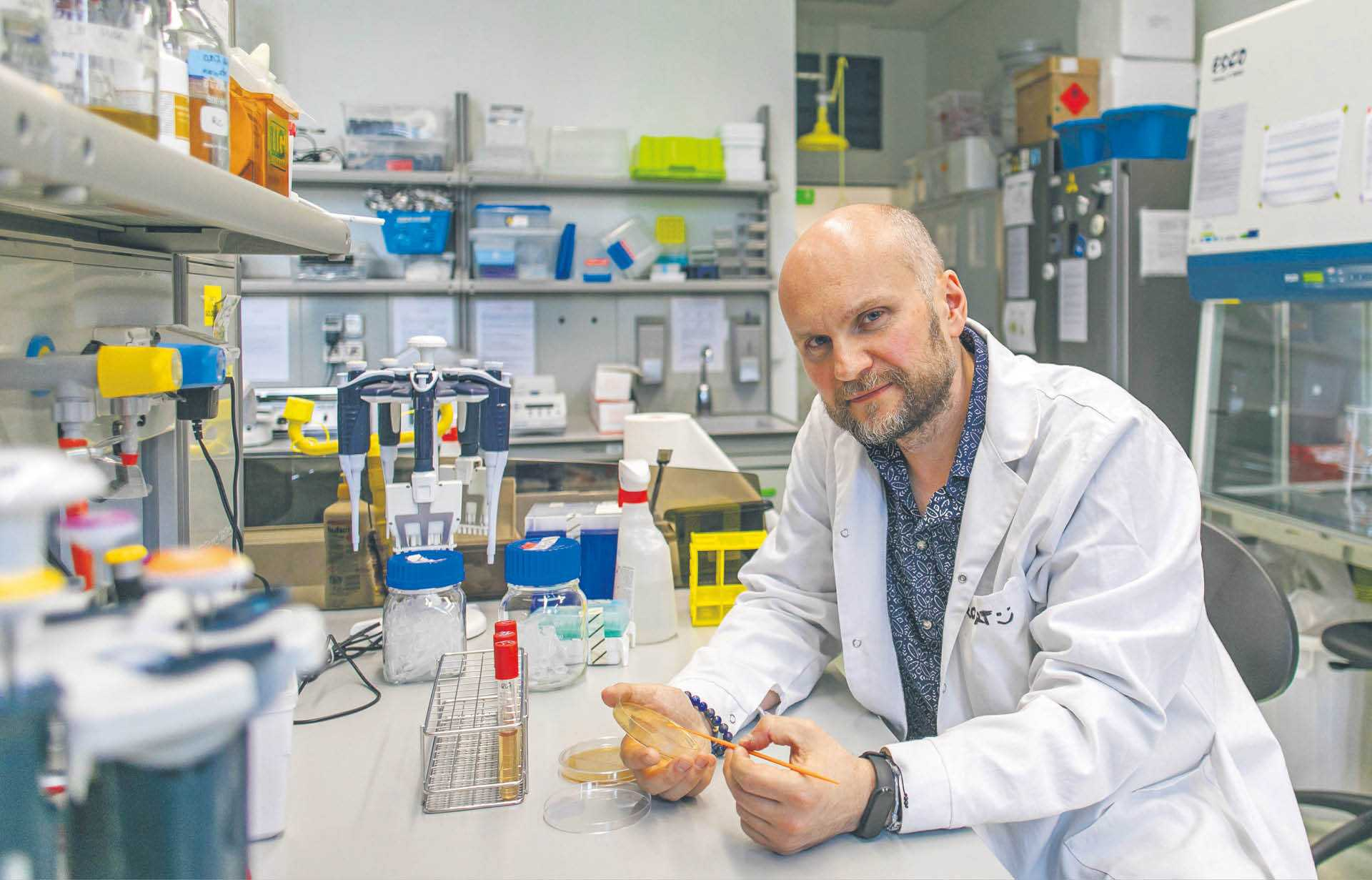 783242_big_photo_image_photo_image