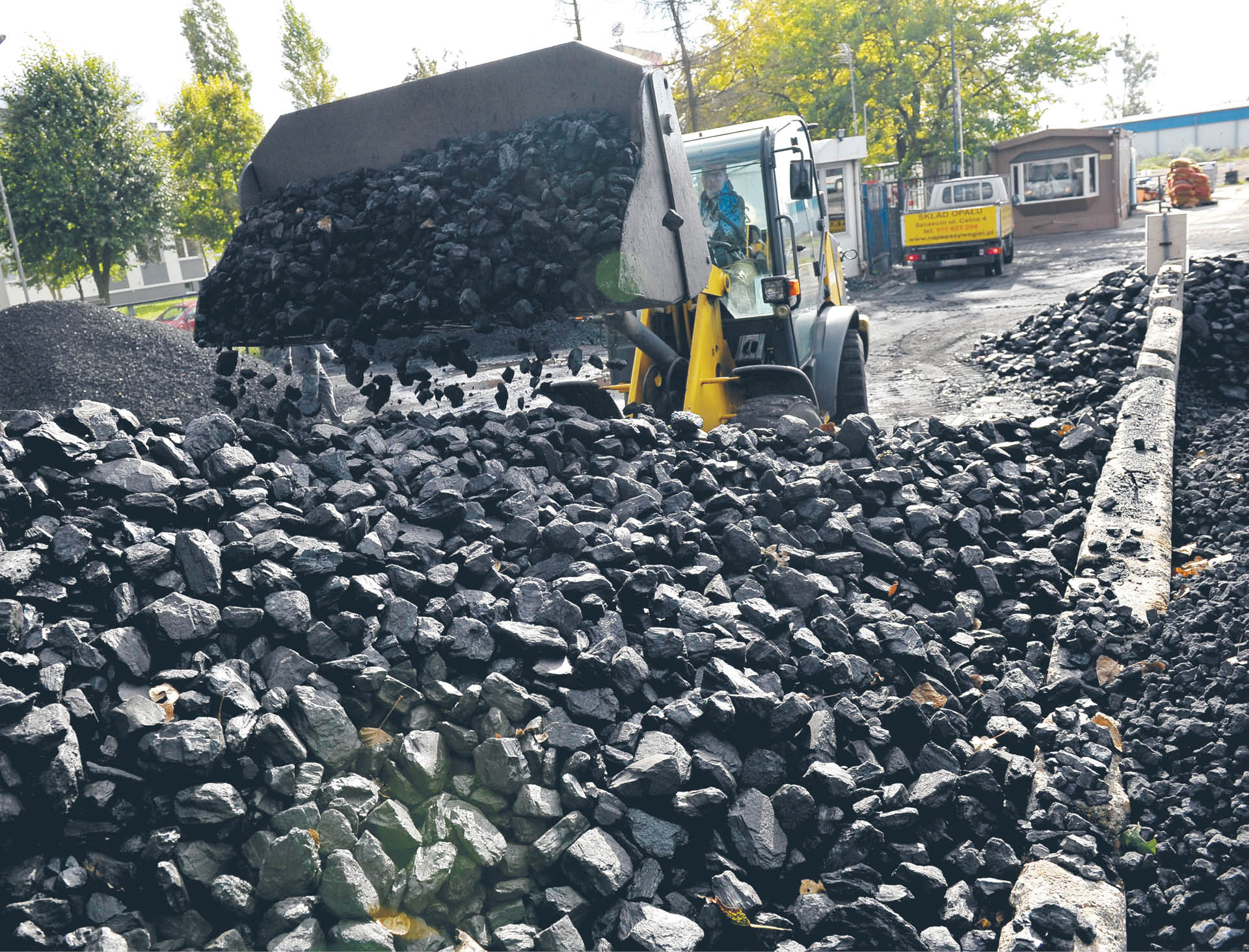 786815_big_photo_image_photo_image