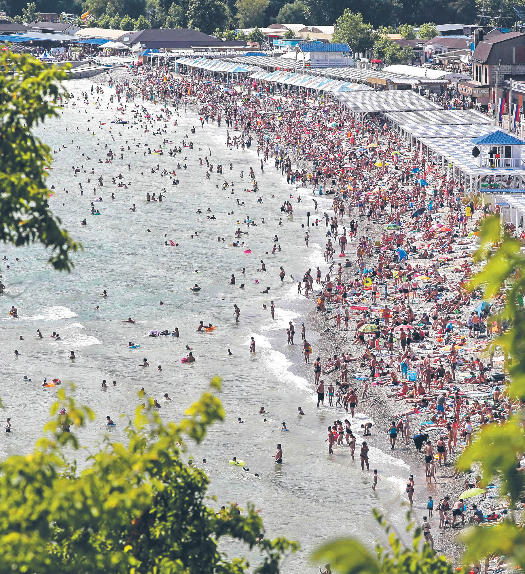 786952_big_photo_image_photo_image