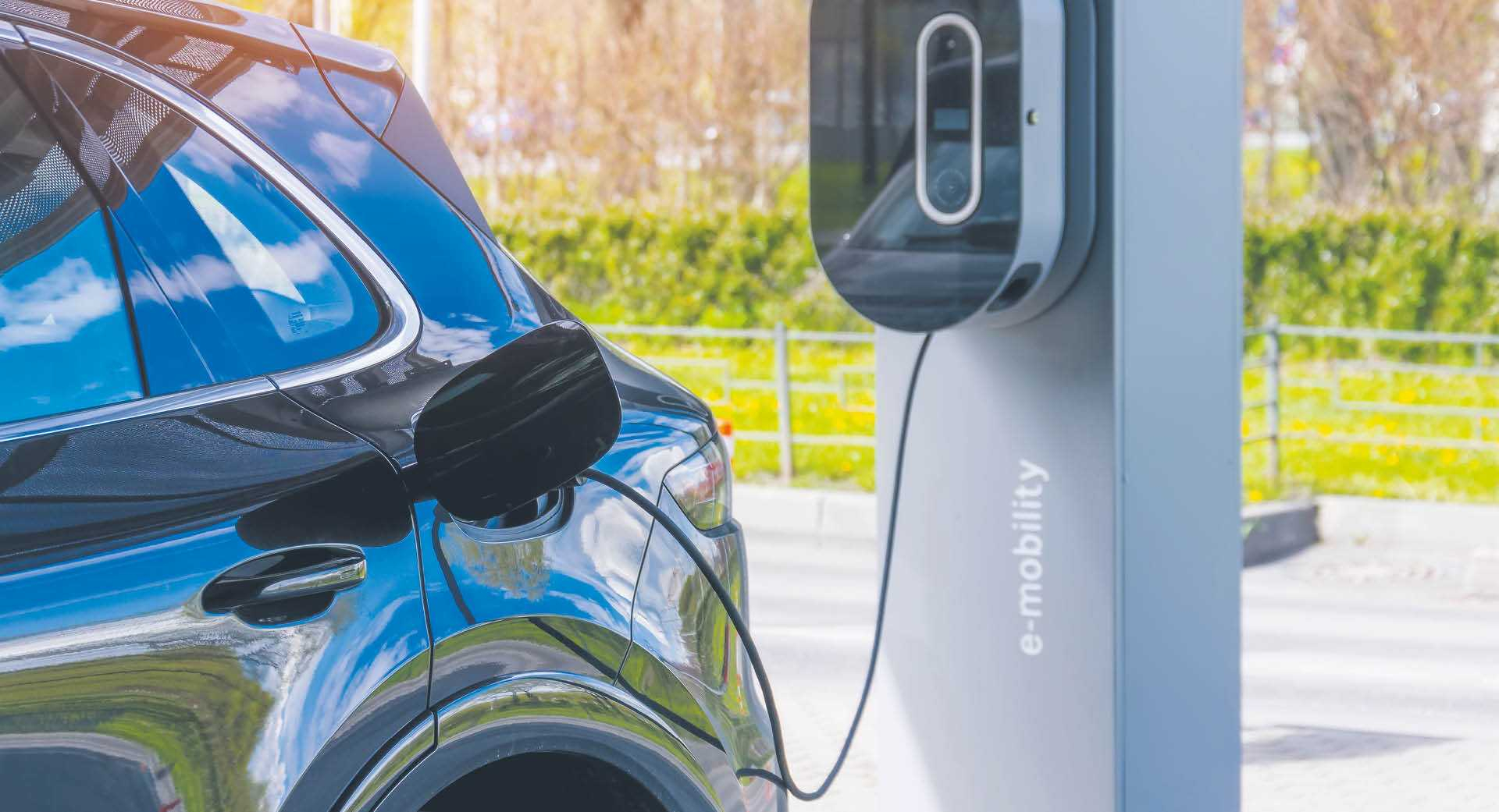 786198_big_photo_image_photo_image