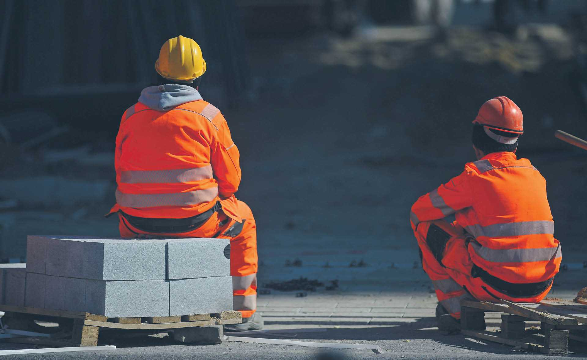 788835_big_photo_image_photo_image