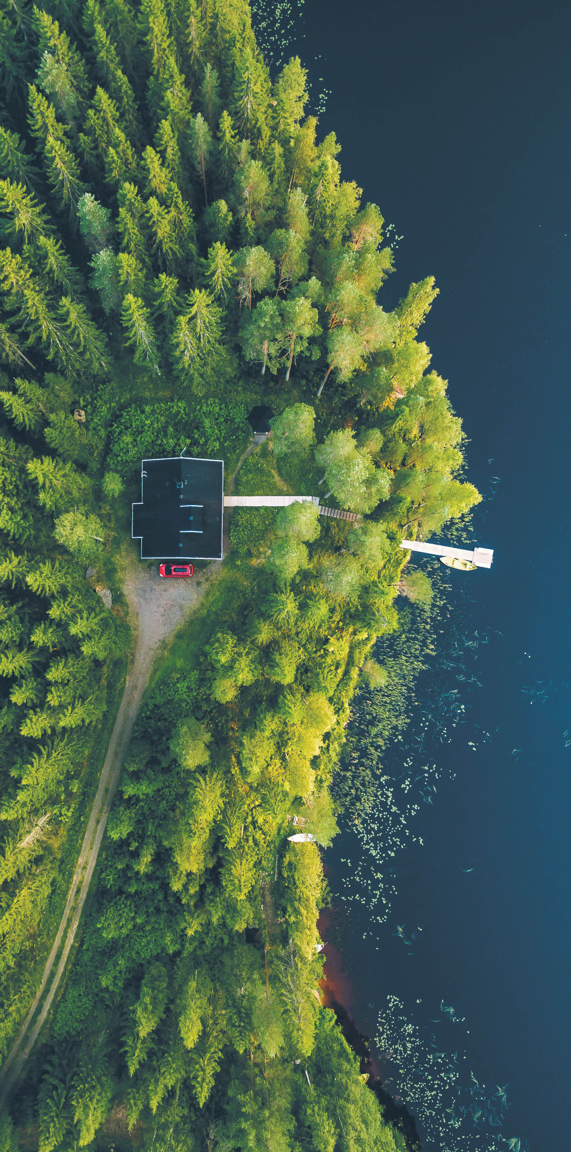 789977_big_photo_image_photo_image