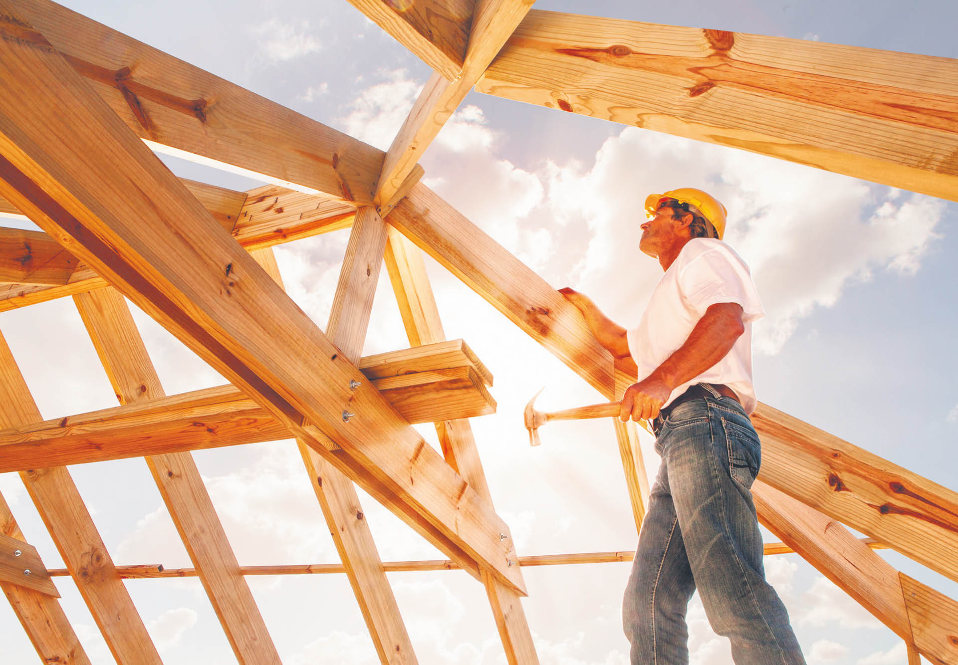 791909_big_photo_image_photo_image