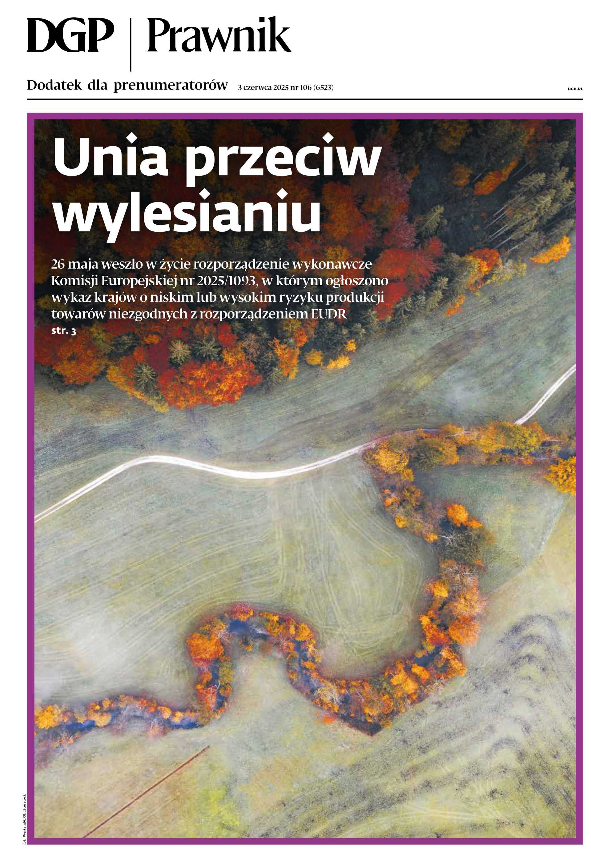 Prawnik_cover
