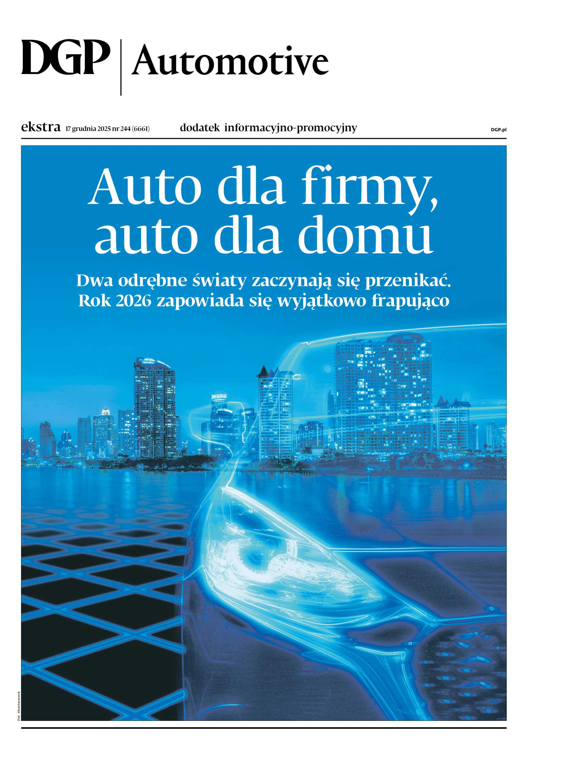 Automotive_cover