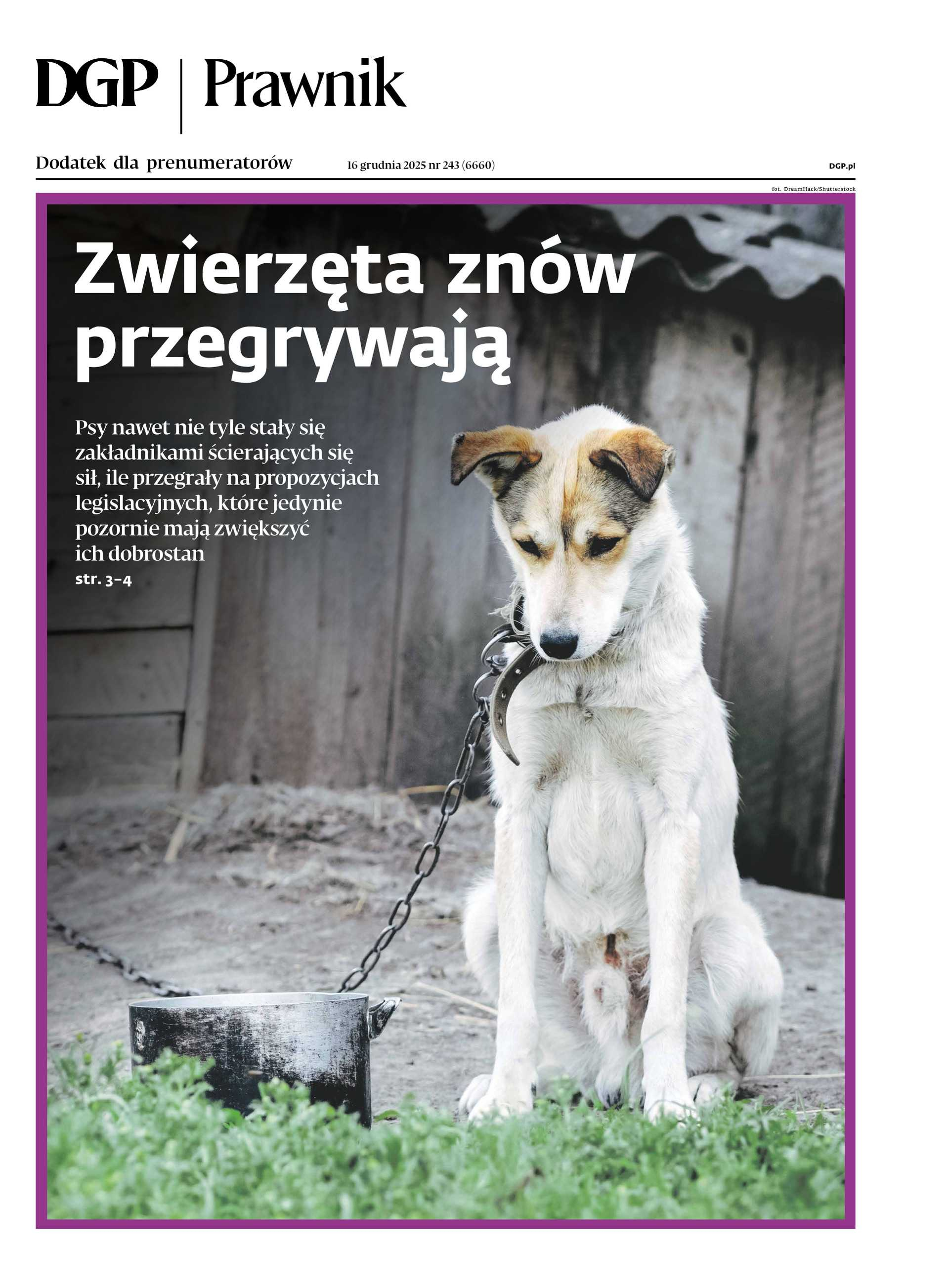 Prawnik_cover