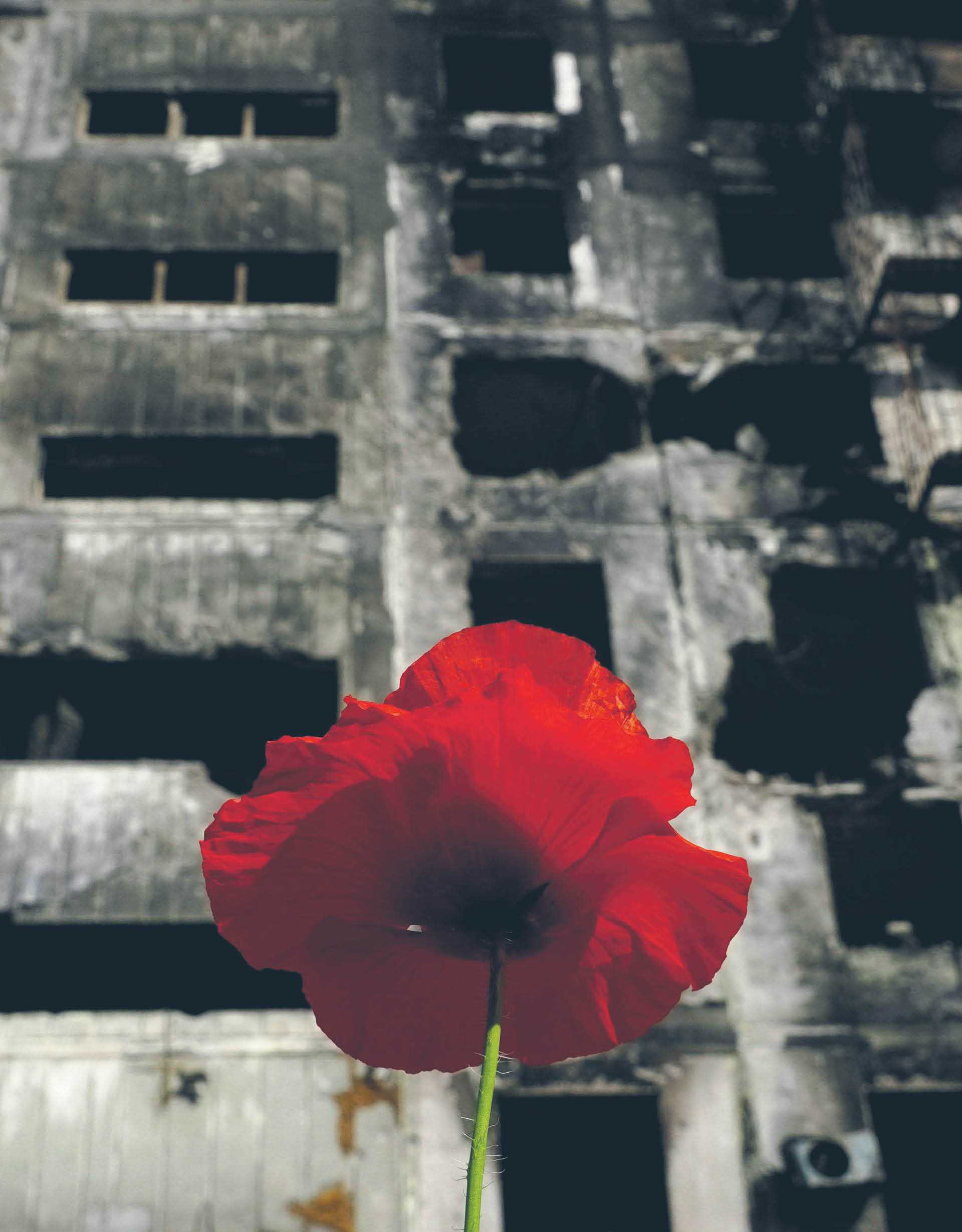 824996_big_photo_image_photo_image