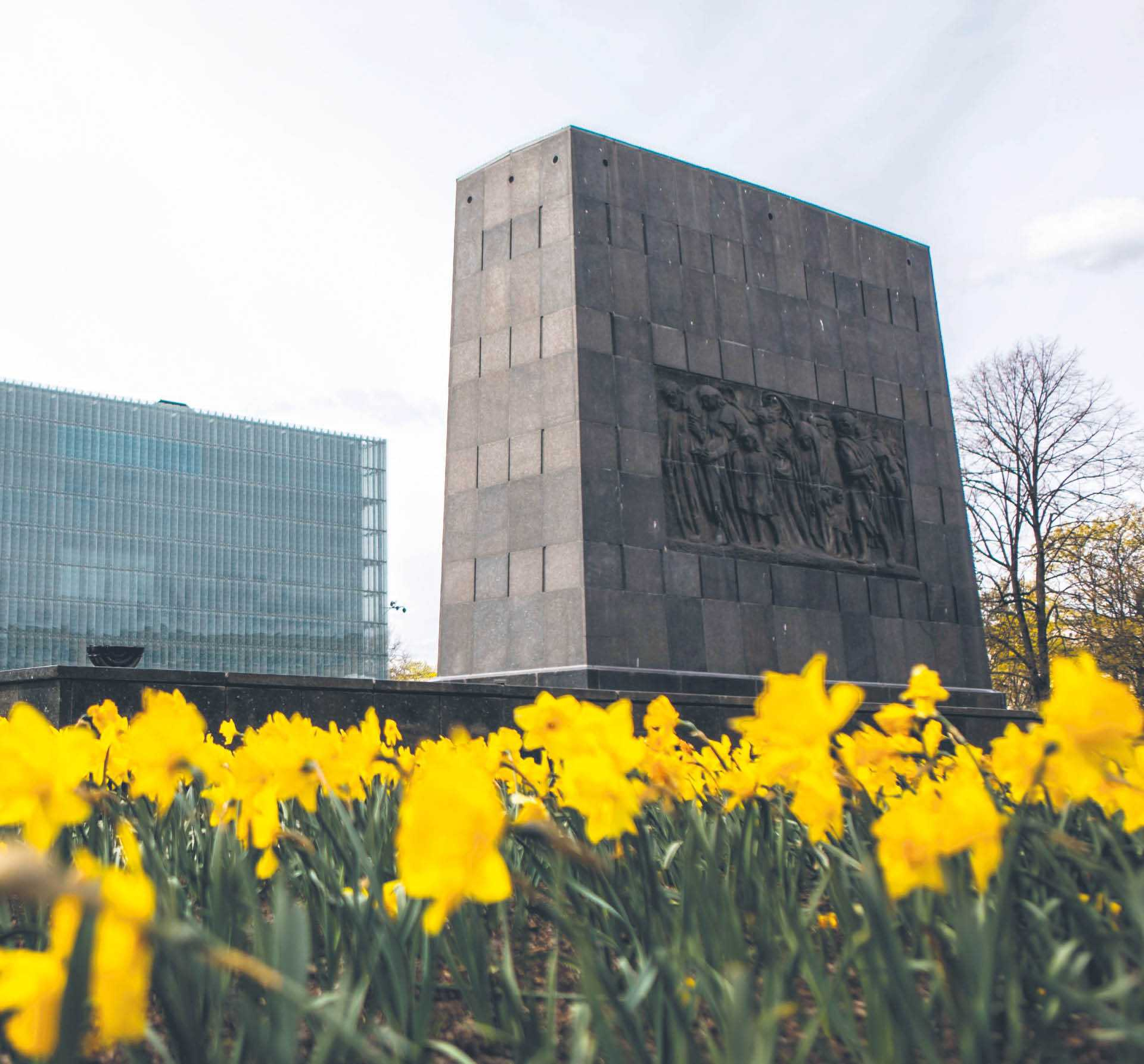 853451_big_photo_image_photo_image