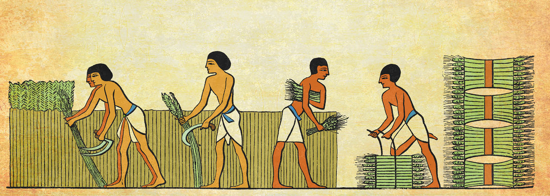 855539_big_photo_image_photo_image