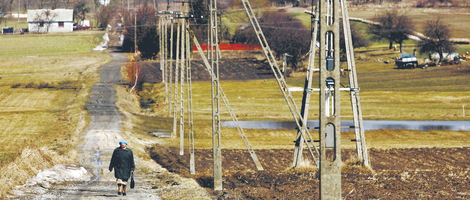 856781_big_photo_image_photo_image