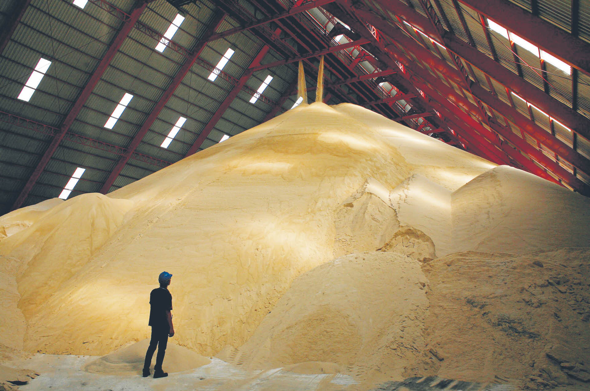 859937_big_photo_image_photo_image