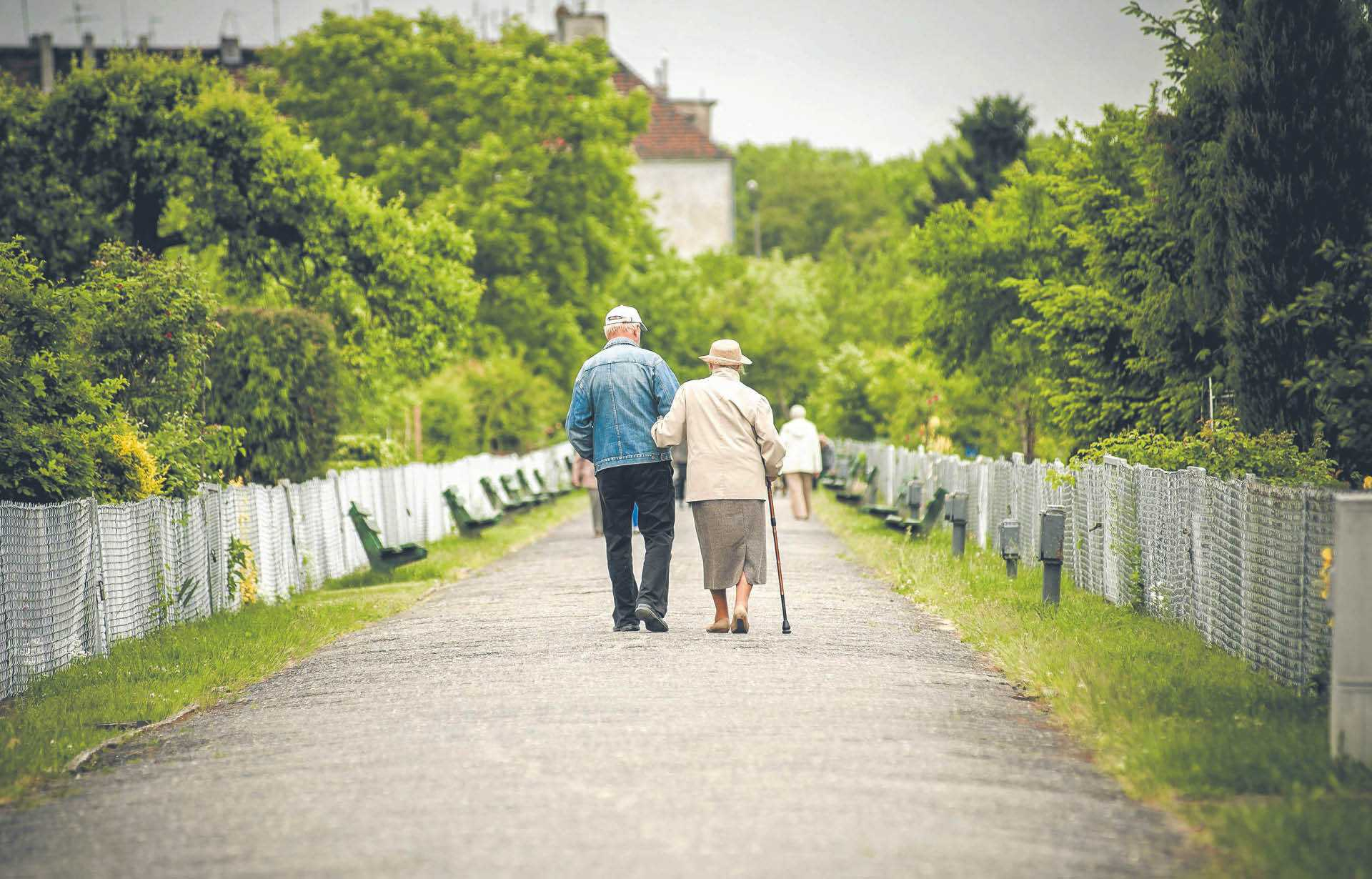 862917_big_photo_image_photo_image