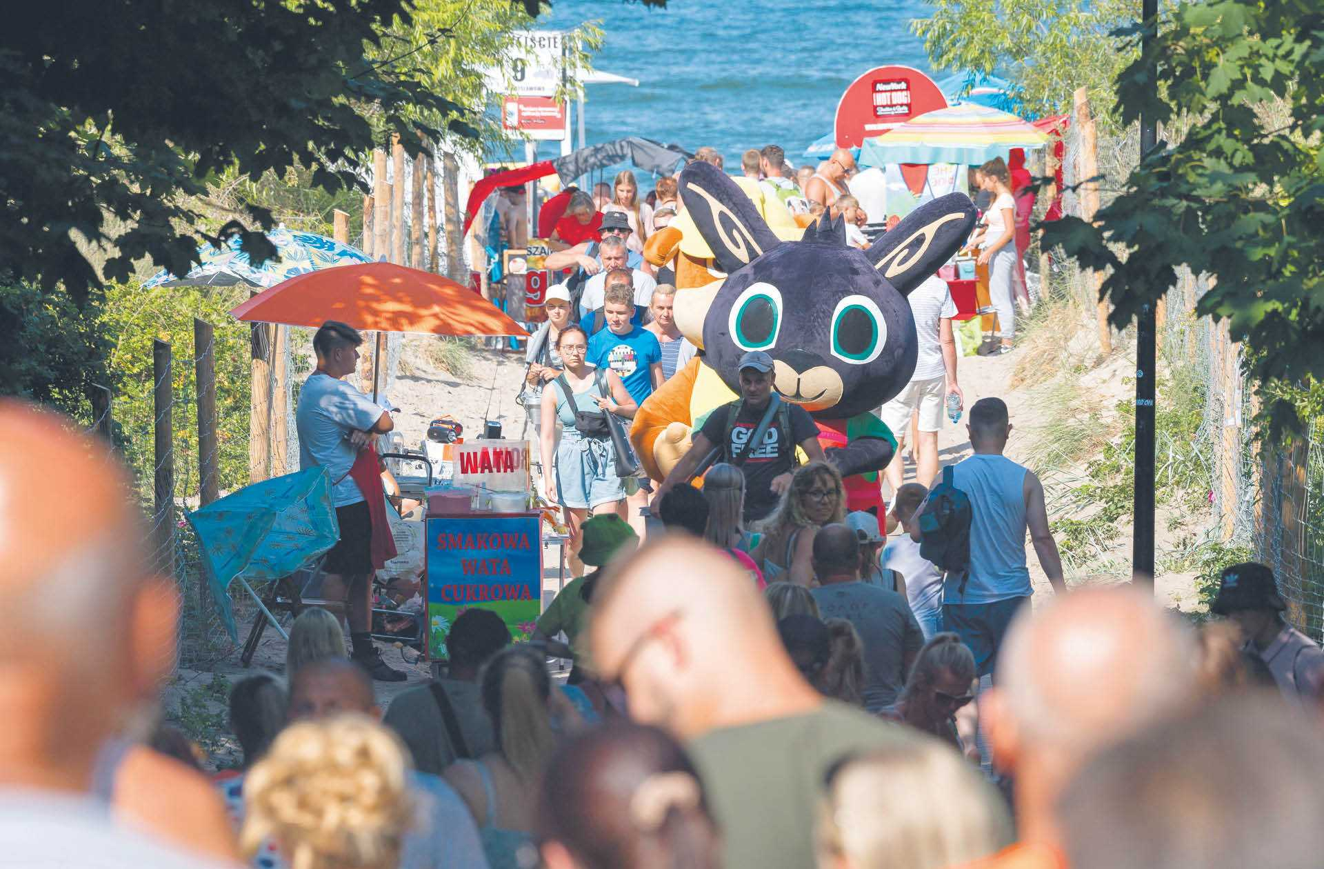 863942_big_photo_image_photo_image