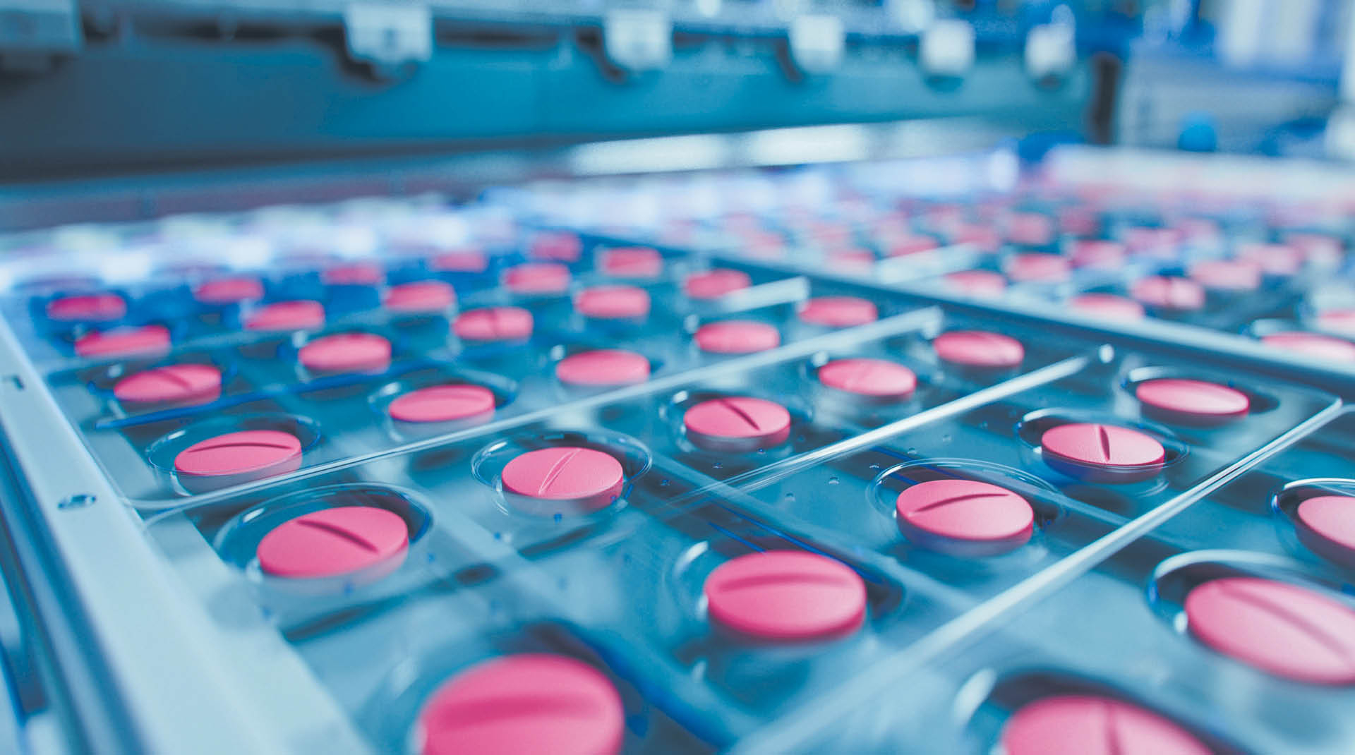 866755_big_photo_image_photo_image