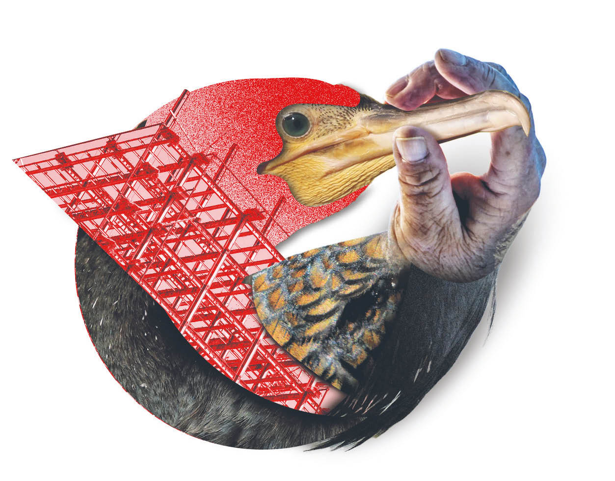 867108_big_photo_image_photo_image