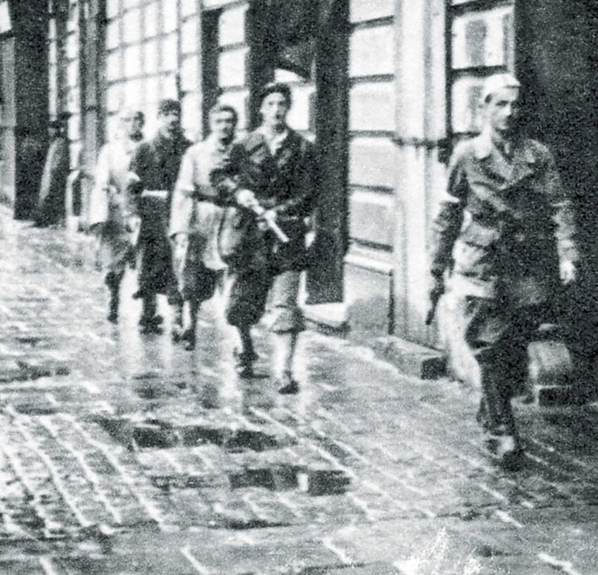 871814_big_photo_image_photo_image