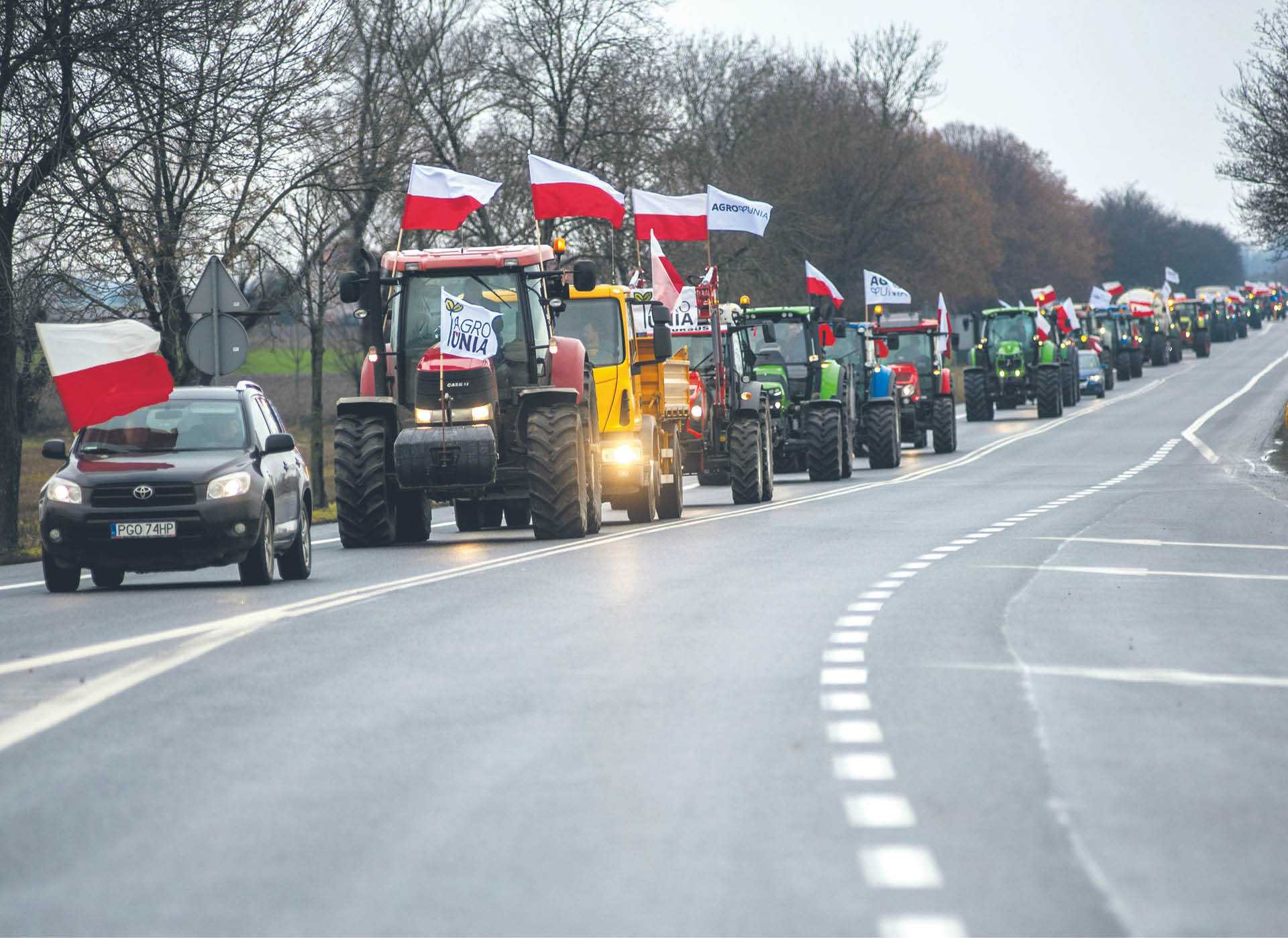 871818_big_photo_image_photo_image