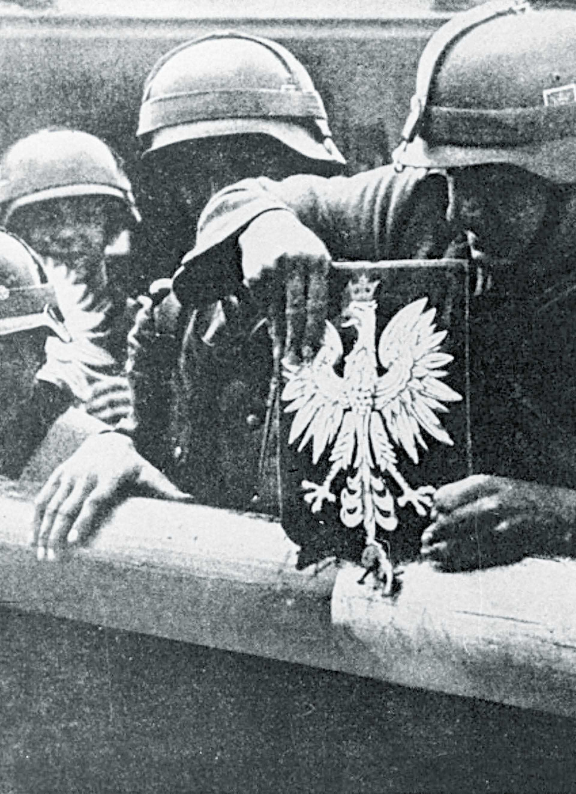 876347_big_photo_image_photo_image