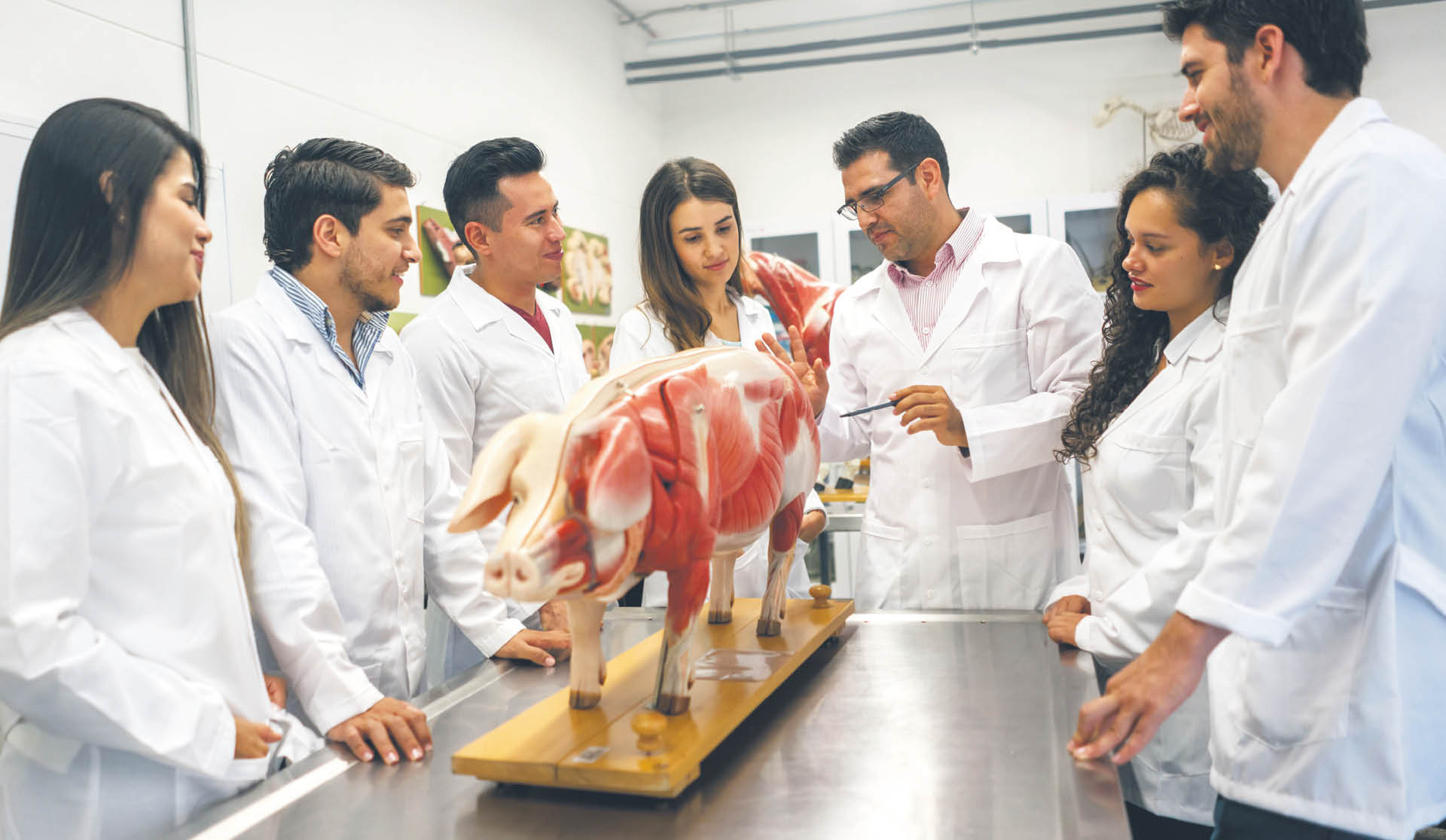 880693_big_photo_image_photo_image