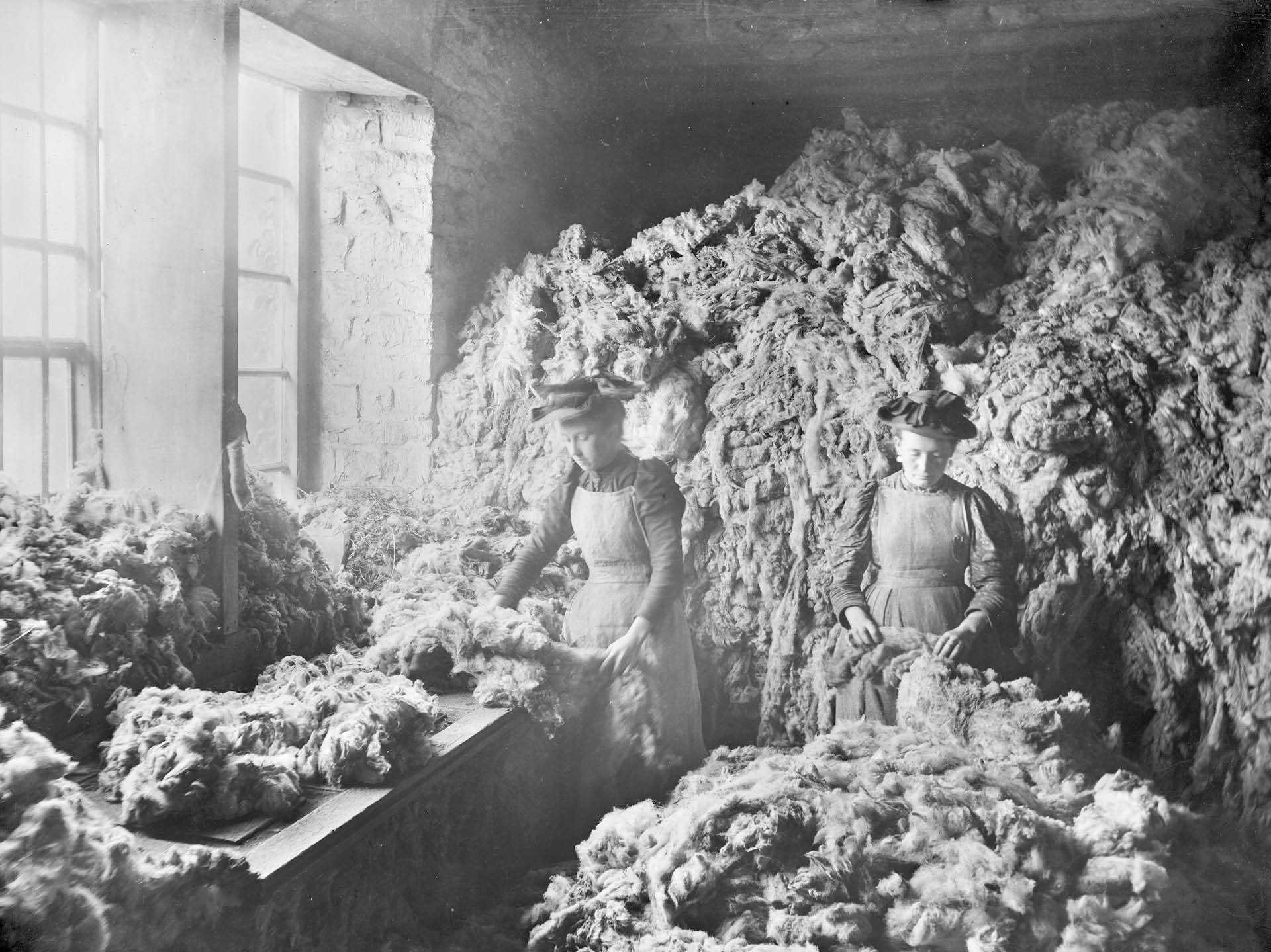 881149_big_photo_image_photo_image