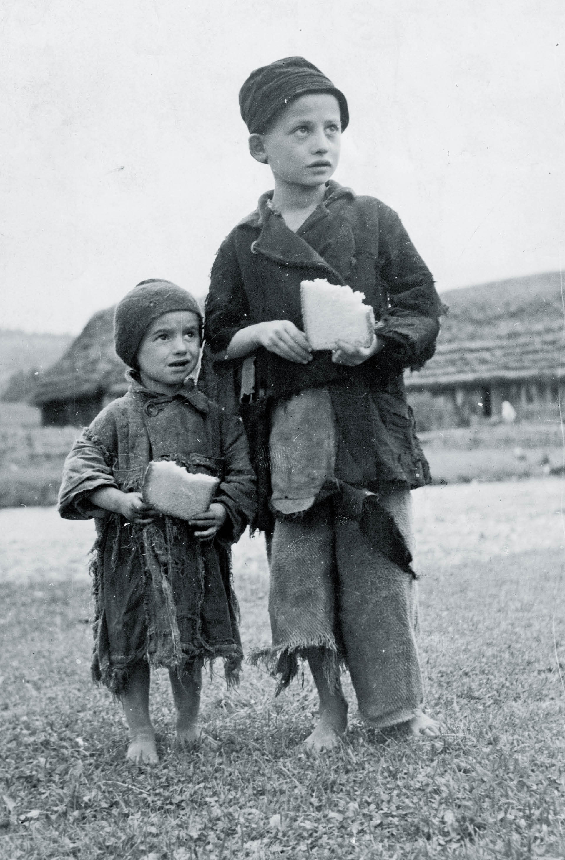 881150_big_photo_image_photo_image