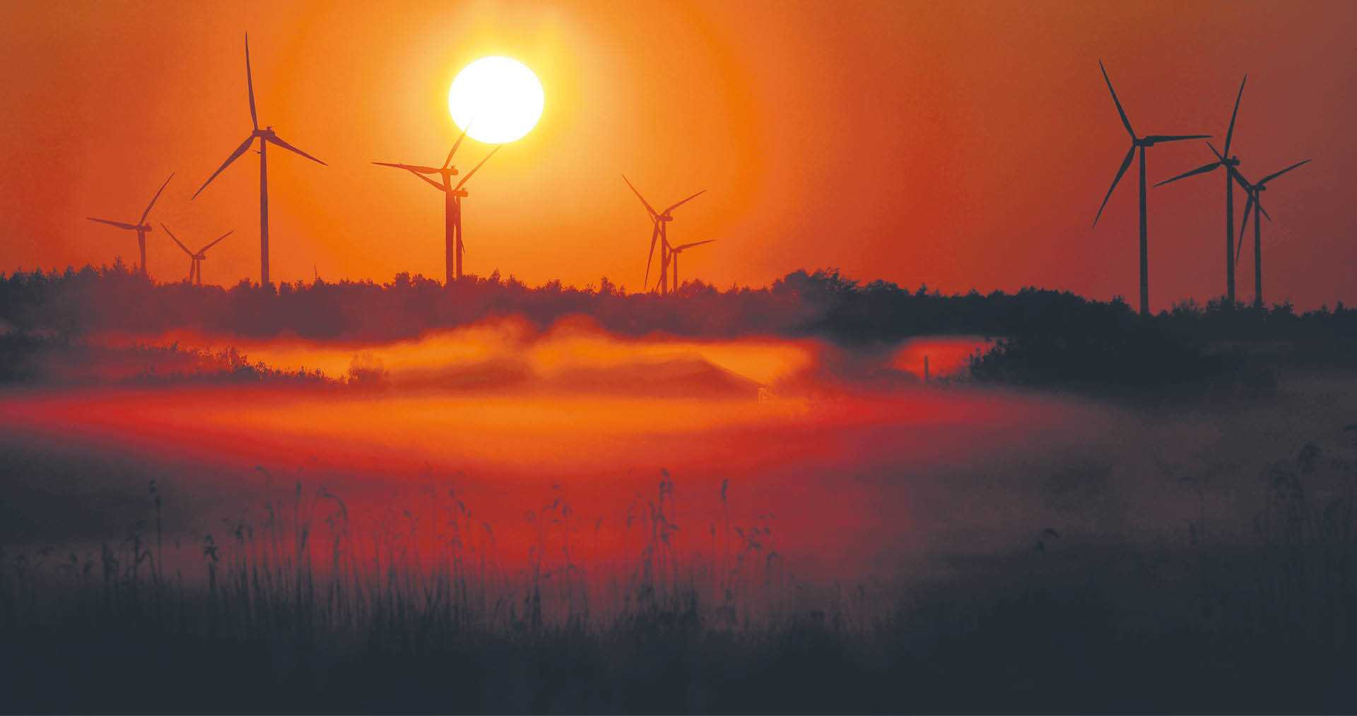 883381_big_photo_image_photo_image