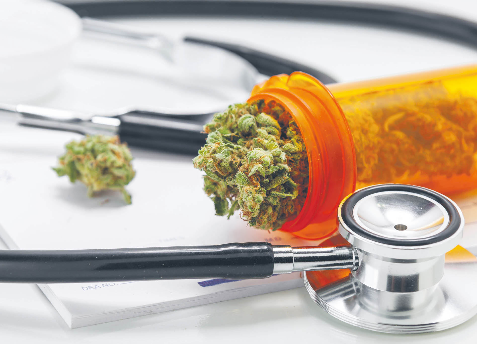 884677_big_photo_image_photo_image