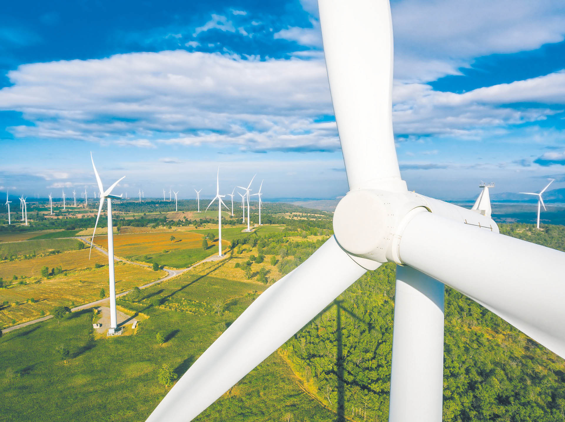 888611_big_photo_image_photo_image