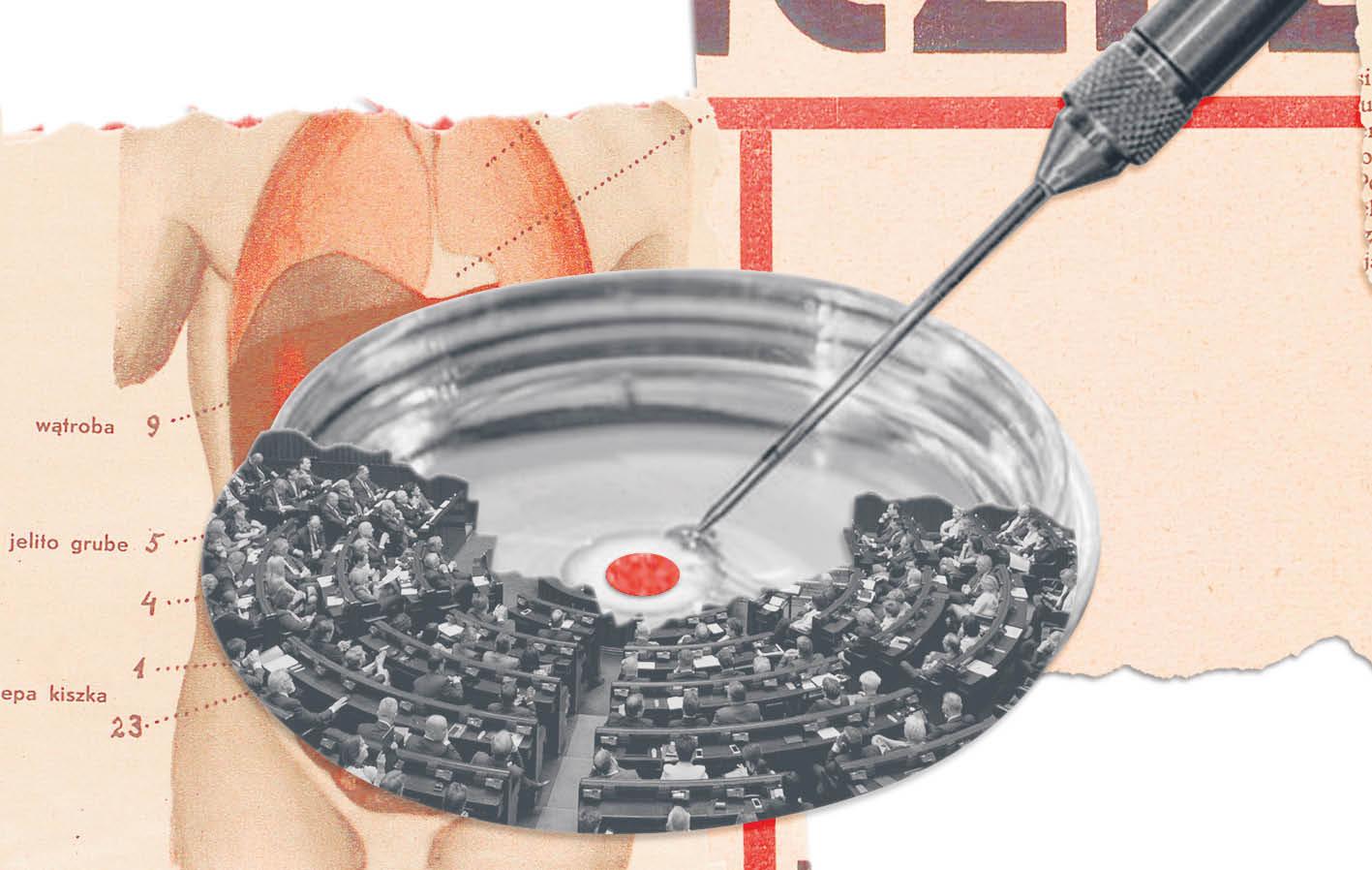 888714_big_photo_image_photo_image