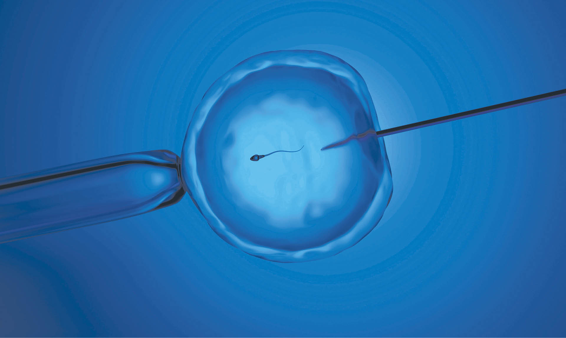 889452_big_photo_image_photo_image