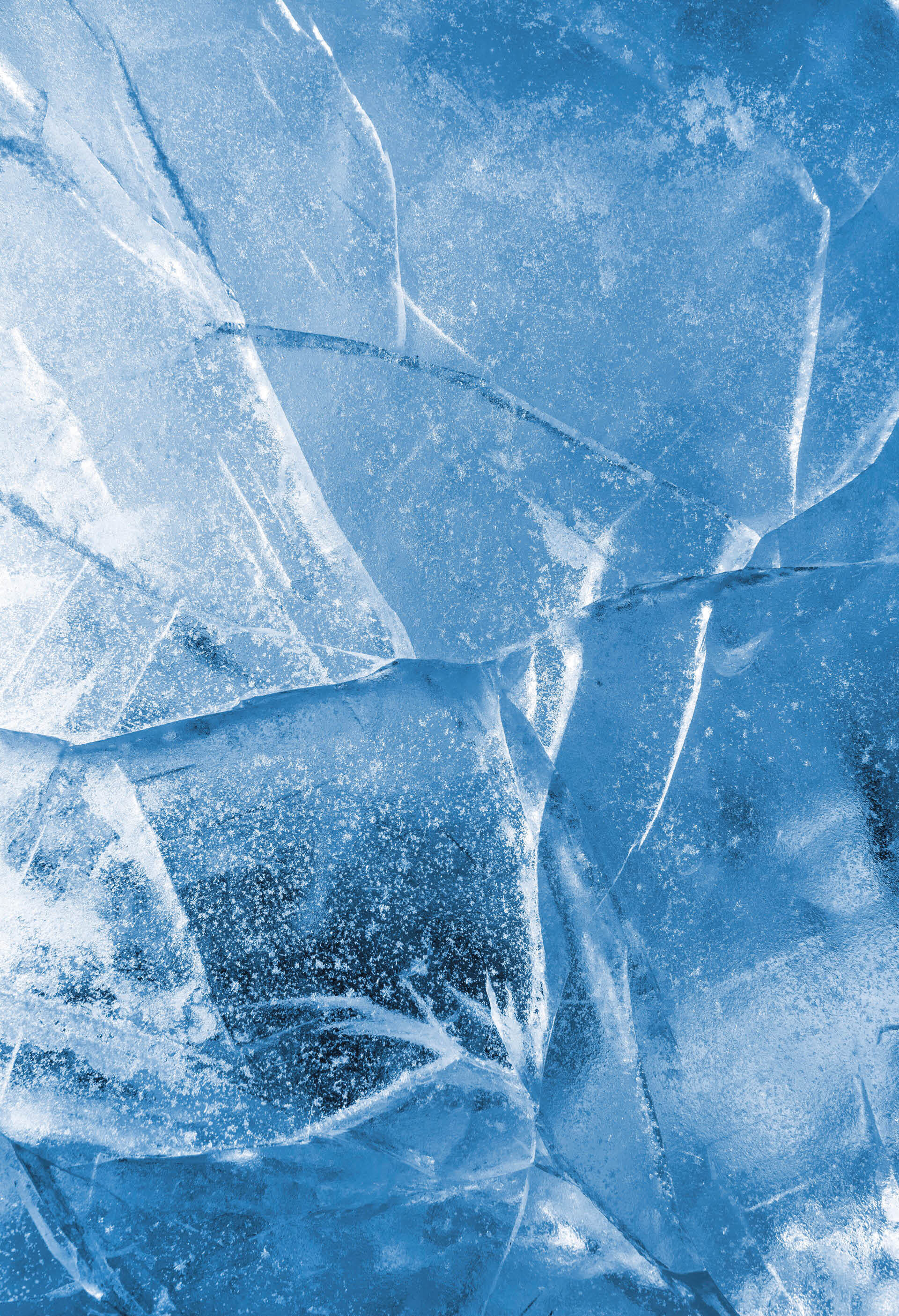 890504_big_photo_image_photo_image