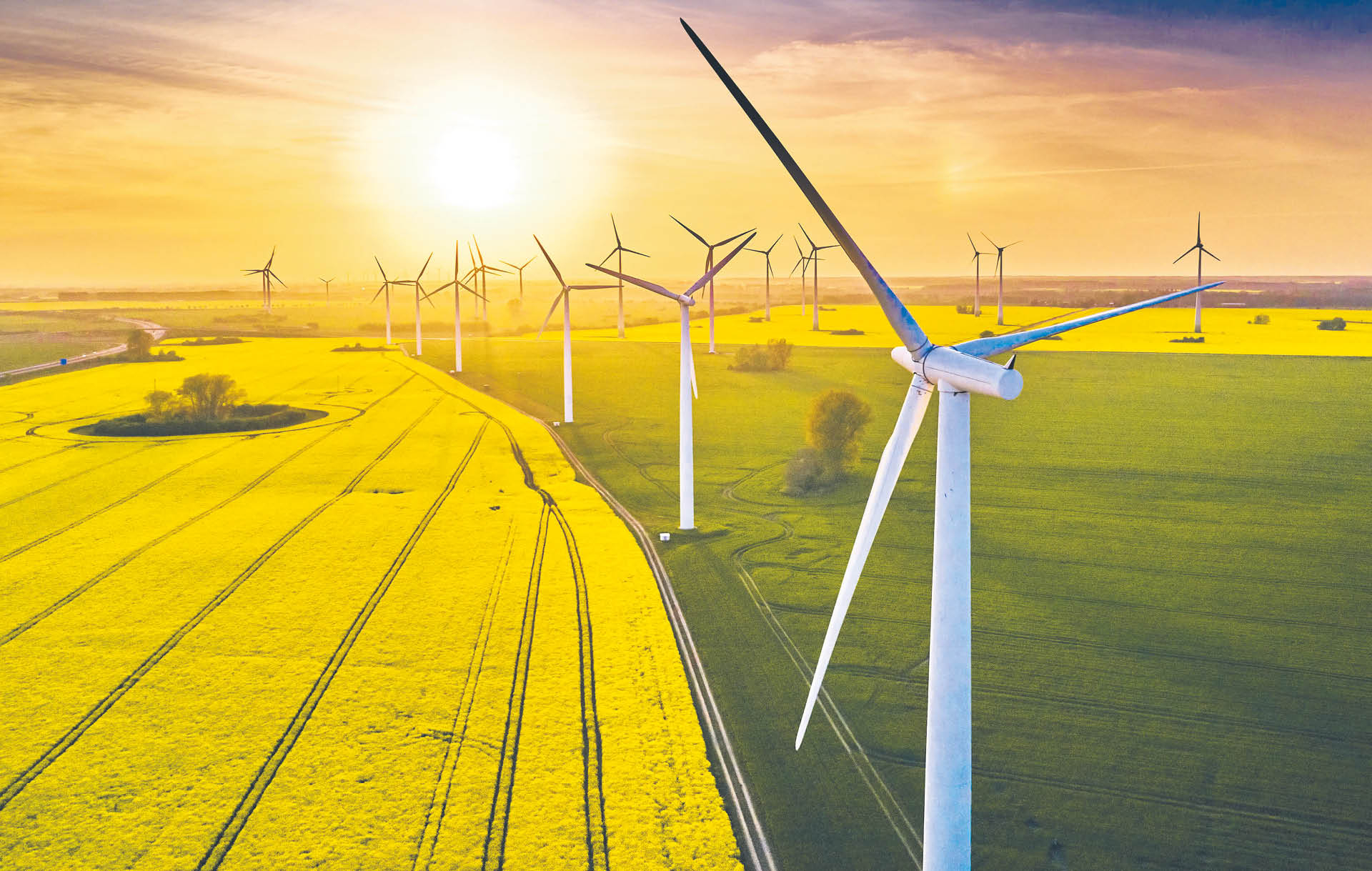 891413_big_photo_image_photo_image