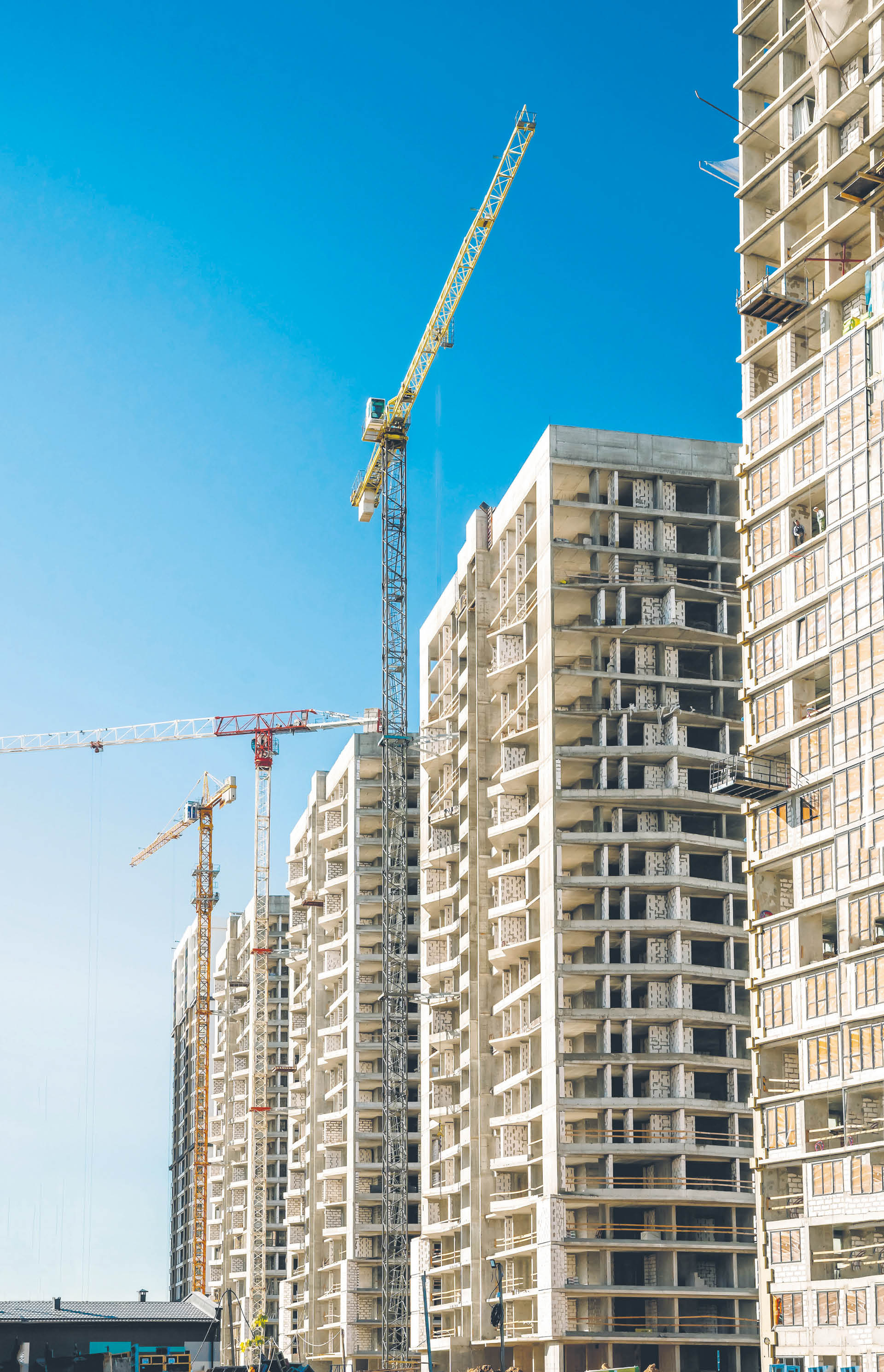 893786_big_photo_image_photo_image