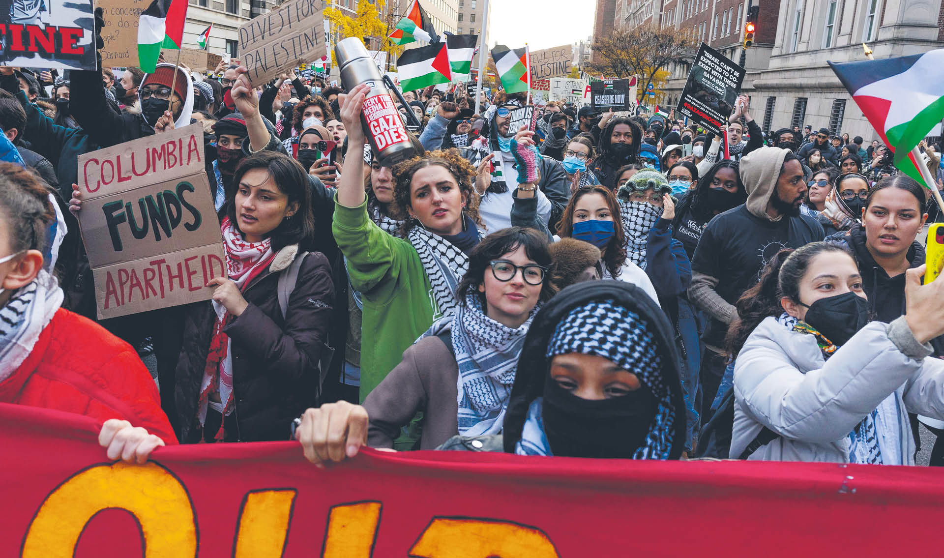 893017_big_photo_image_photo_image