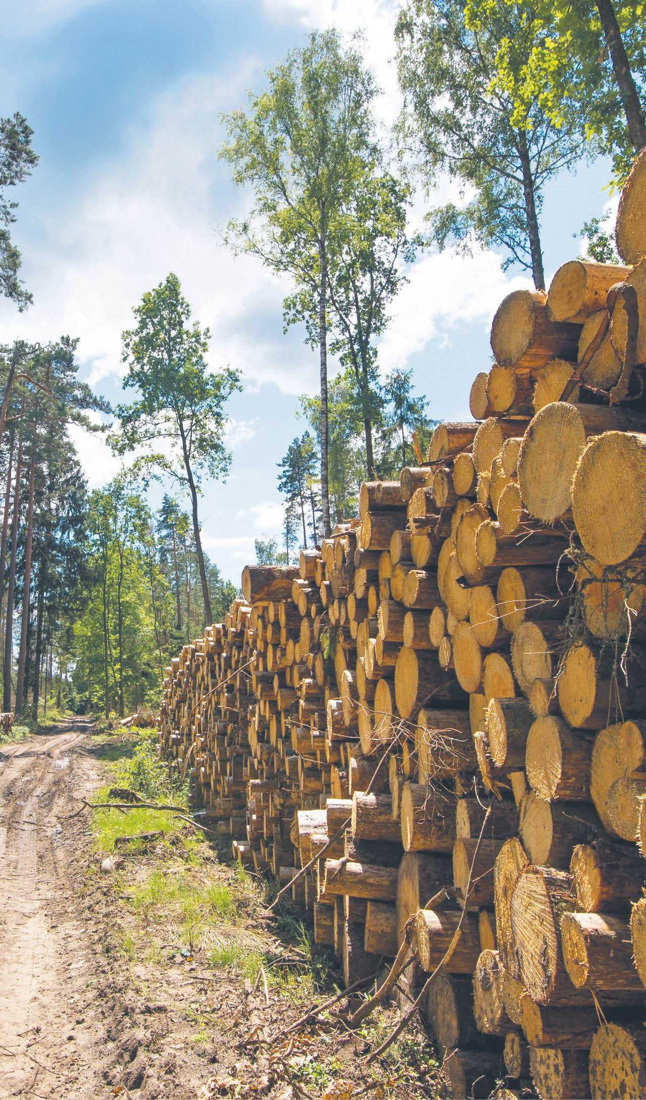 893370_big_photo_image_photo_image