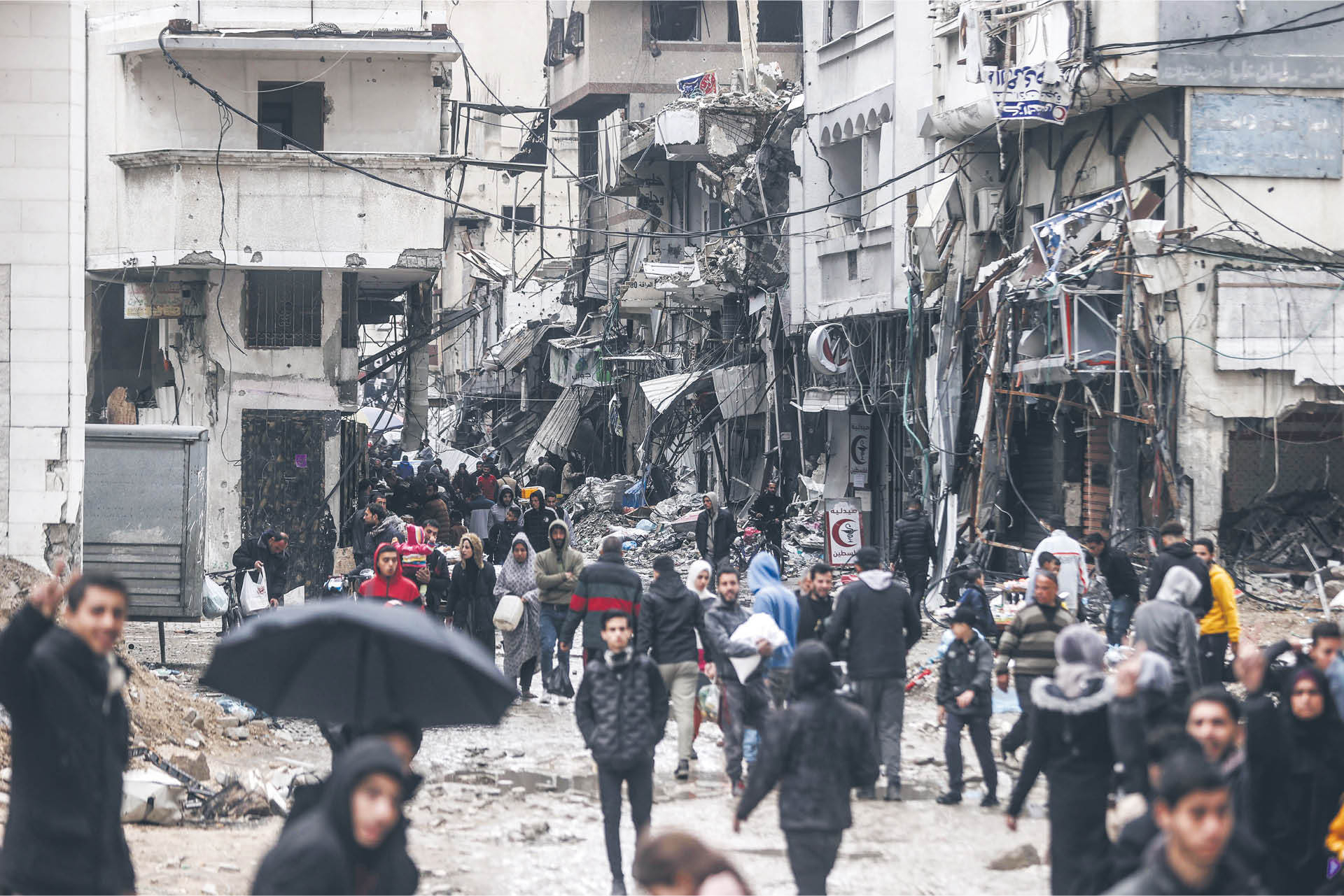 895689_big_photo_image_photo_image