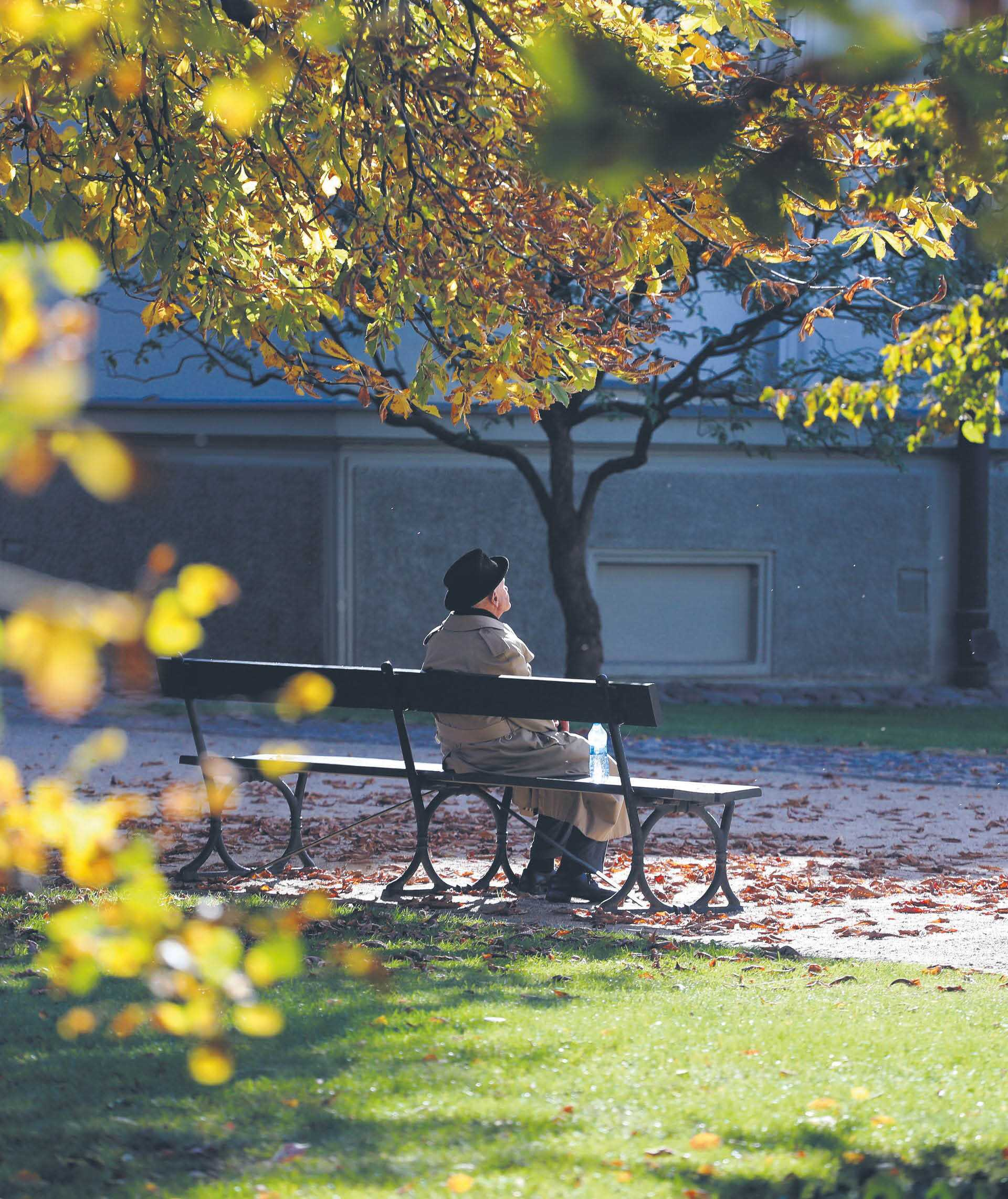 901523_big_photo_image_photo_image