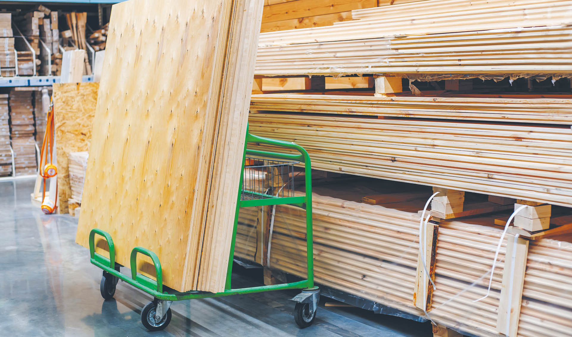 904164_big_photo_image_photo_image