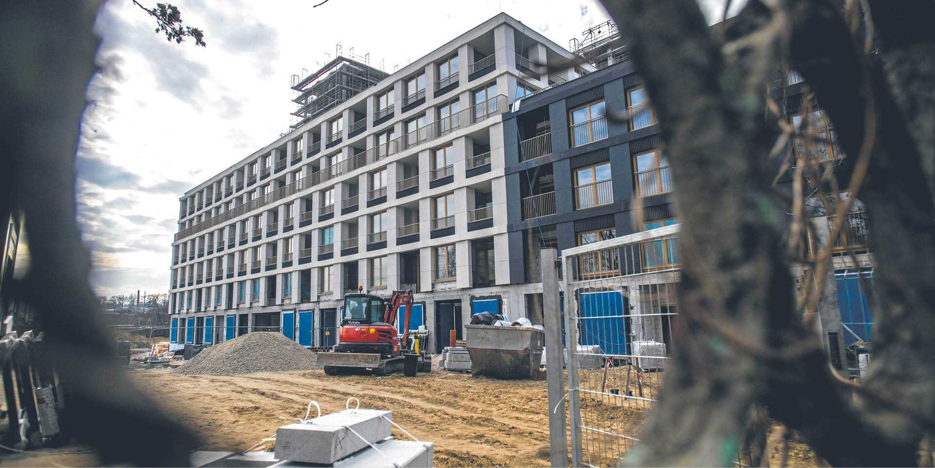 905338_big_photo_image_photo_image