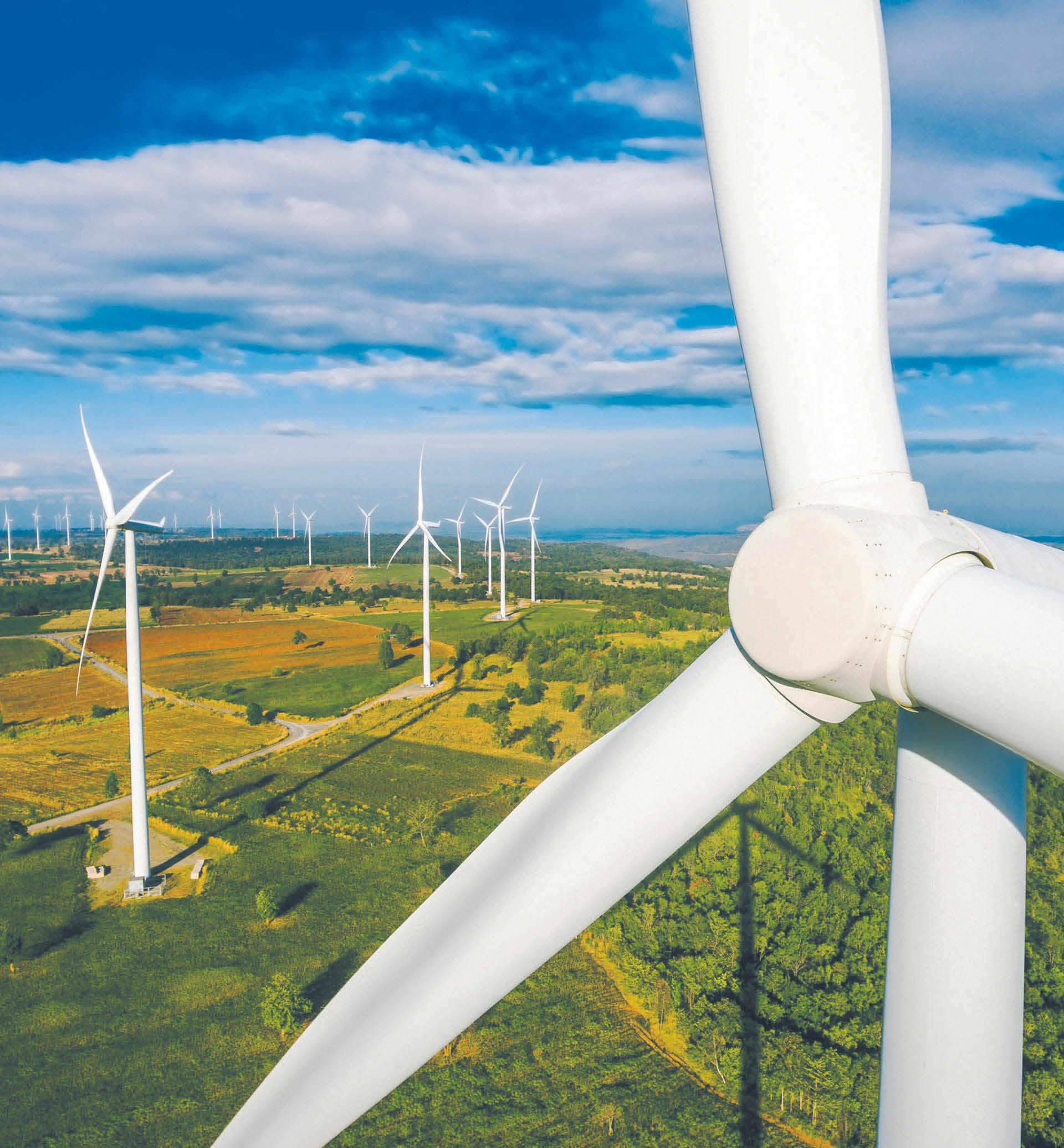 906108_big_photo_image_photo_image