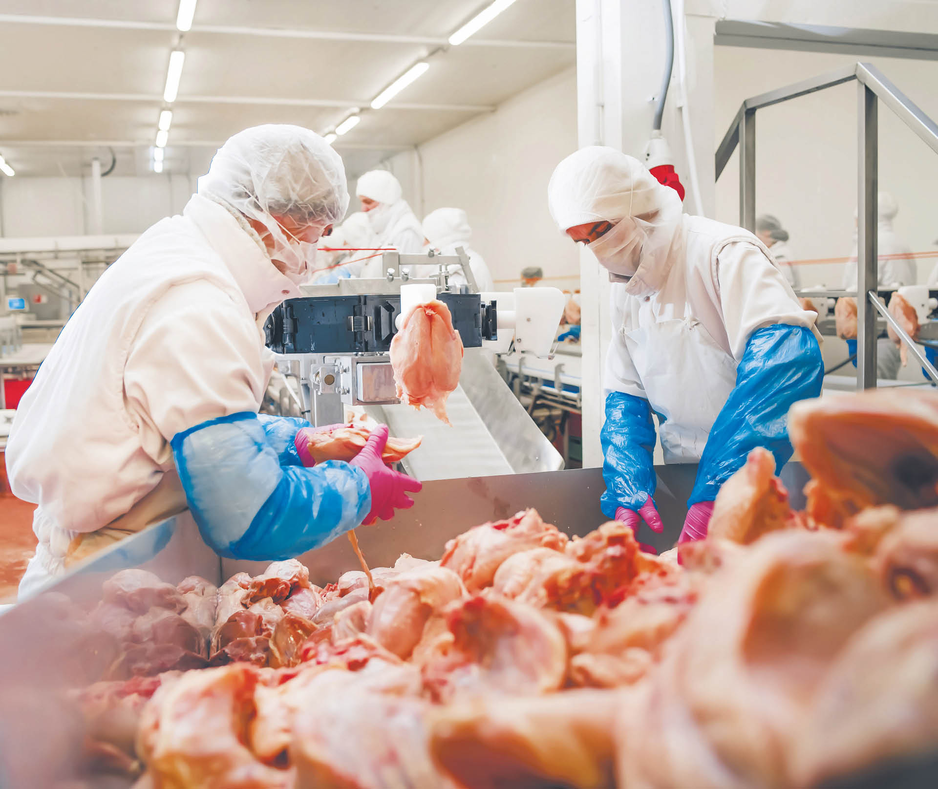 907641_big_photo_image_photo_image