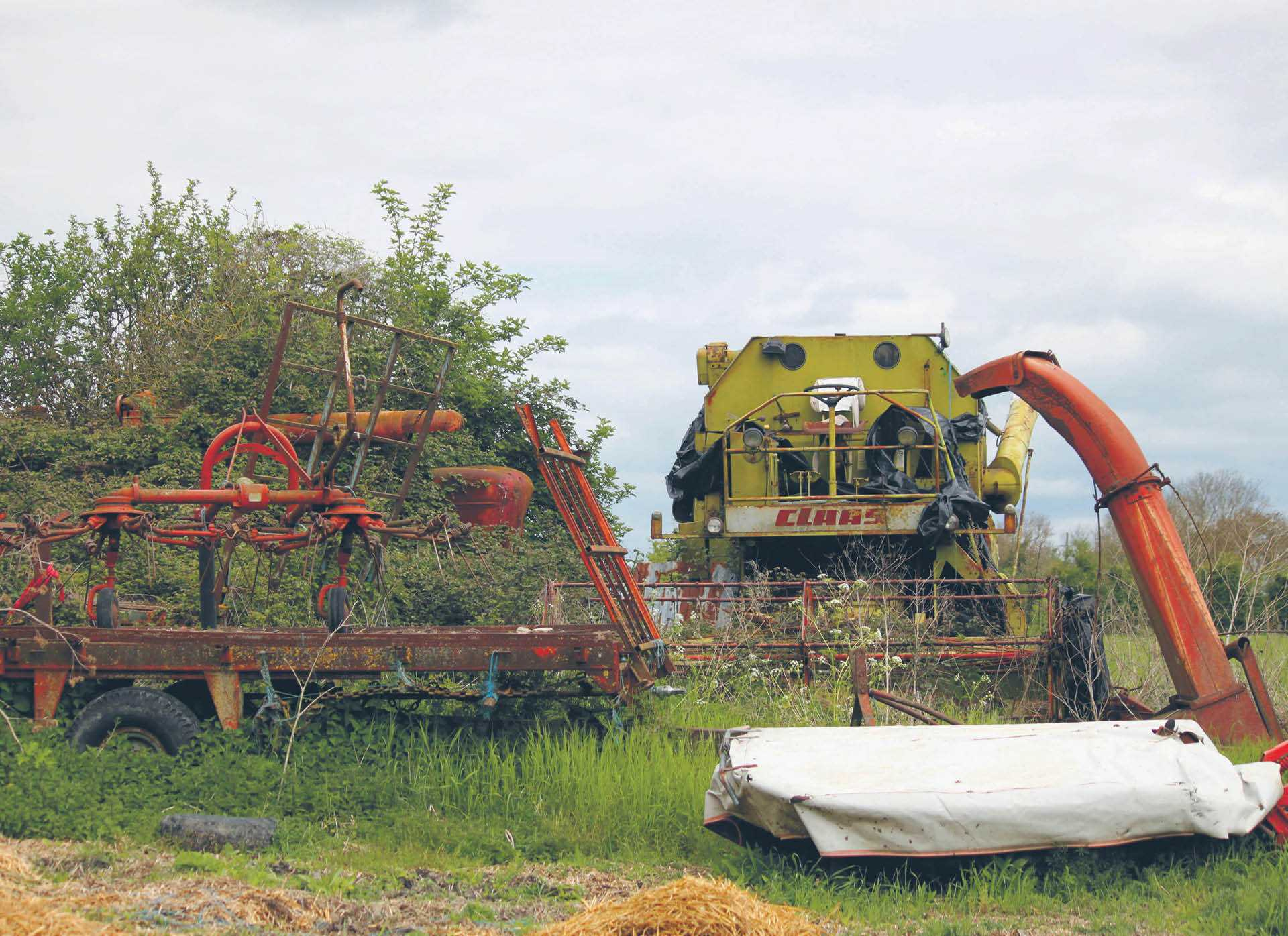 909001_big_photo_image_photo_image