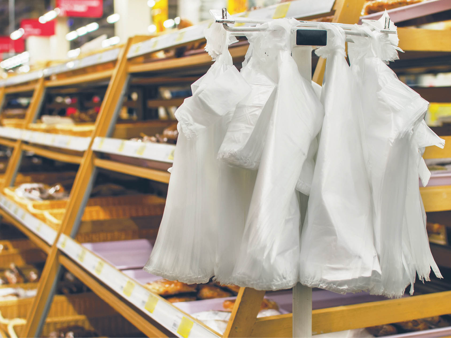 913061_big_photo_image_photo_image