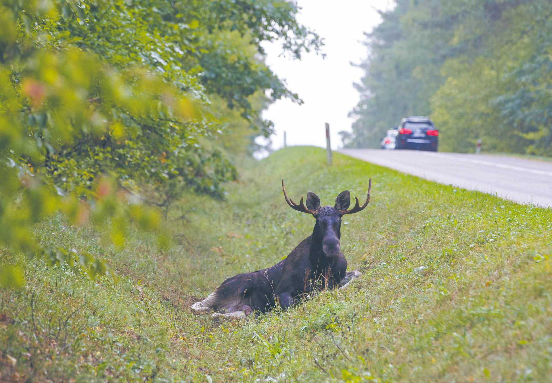 914498_big_photo_image_photo_image