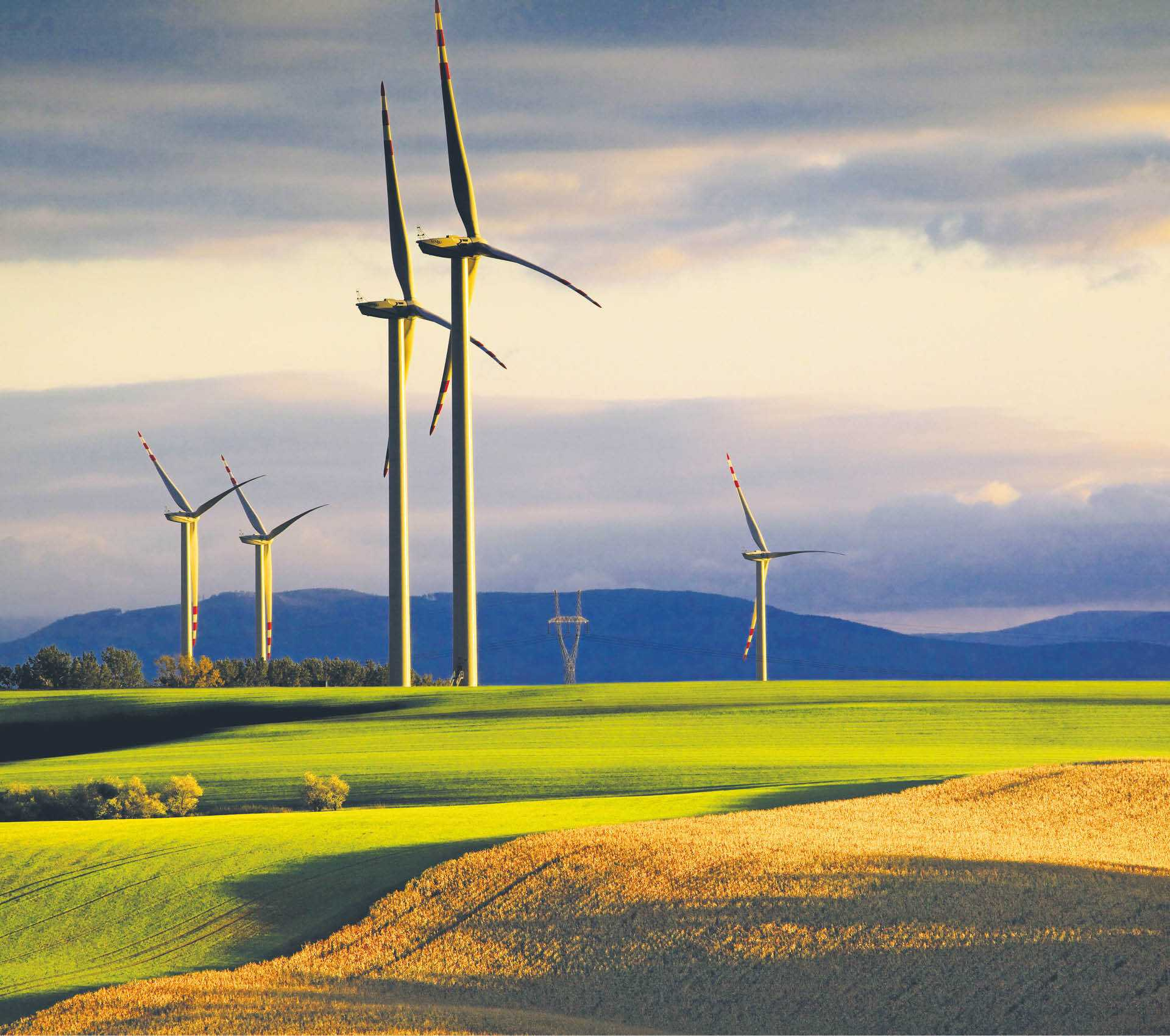 916281_big_photo_image_photo_image