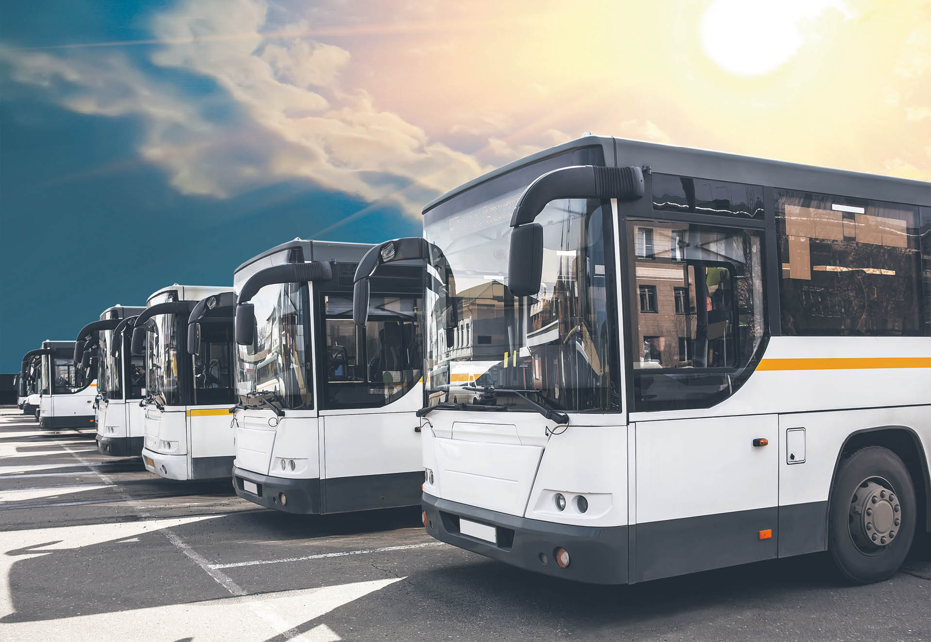 917605_big_photo_image_photo_image