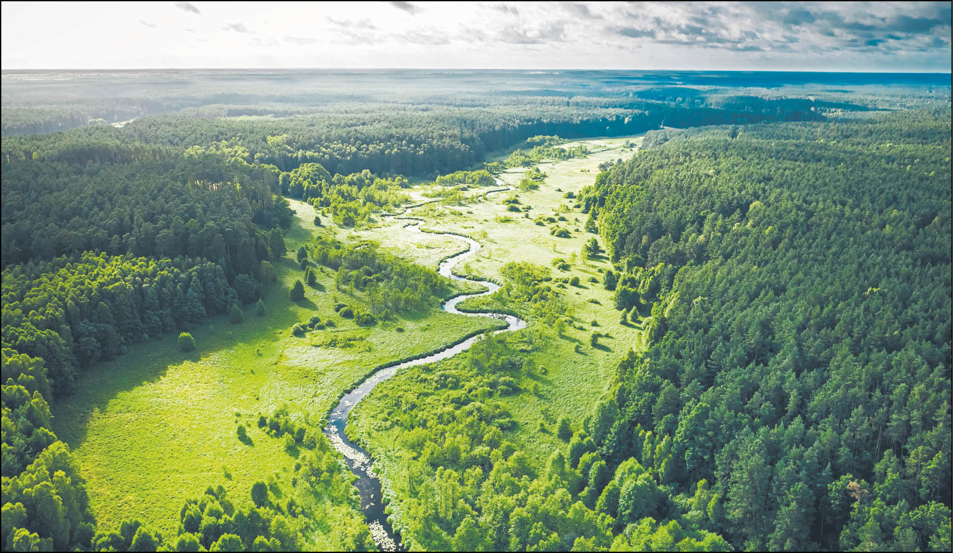 919045_big_photo_image_photo_image